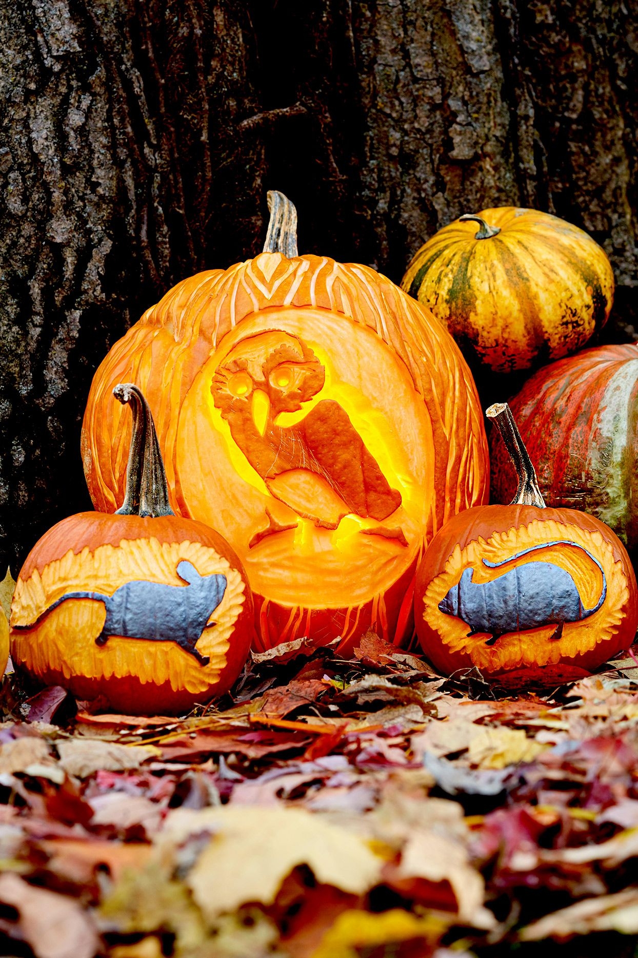 12 Adorable and Free Animal Pumpkin Carving Ideas