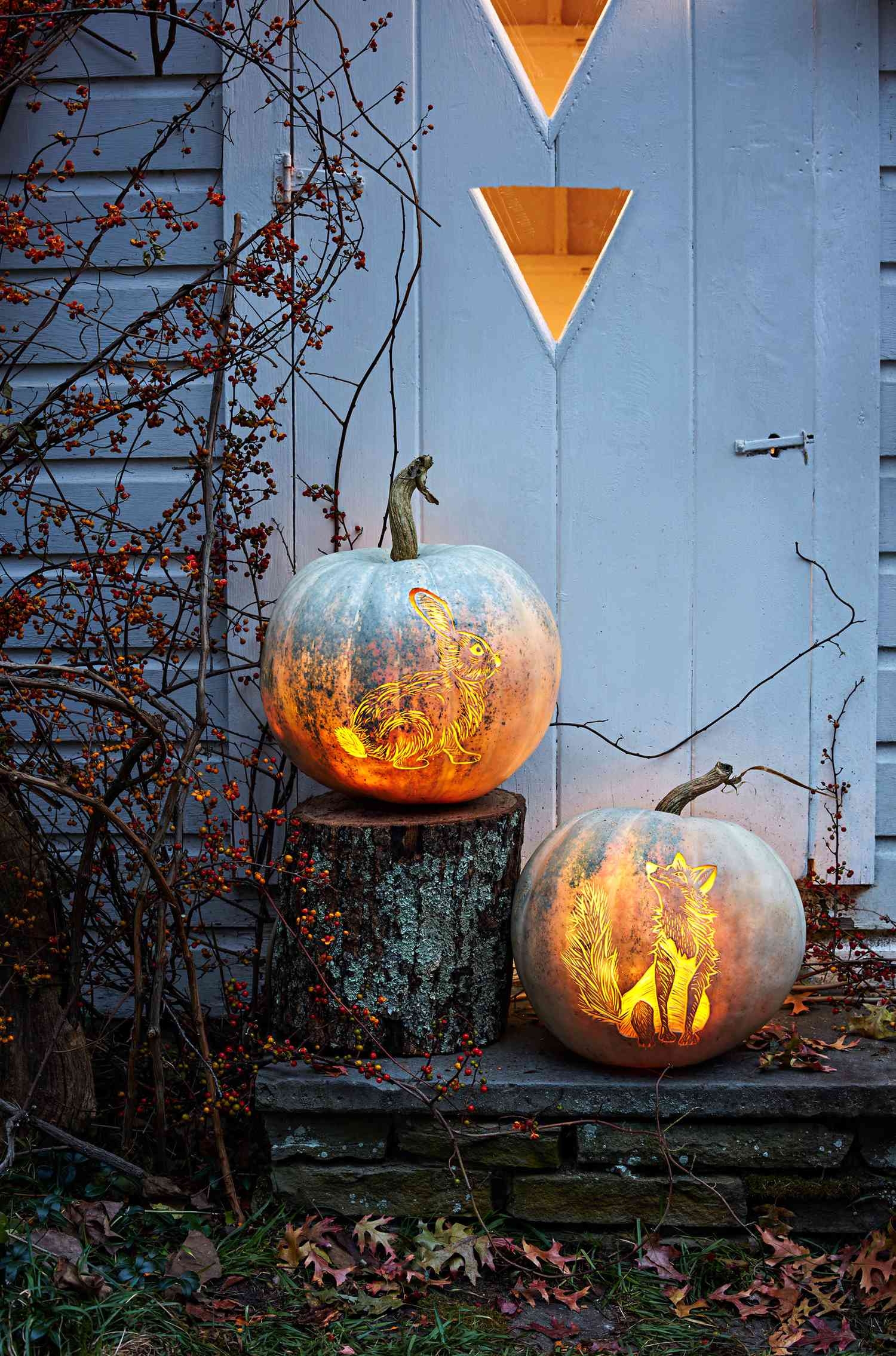 41 Pumpkin Stencil And Design Ideas