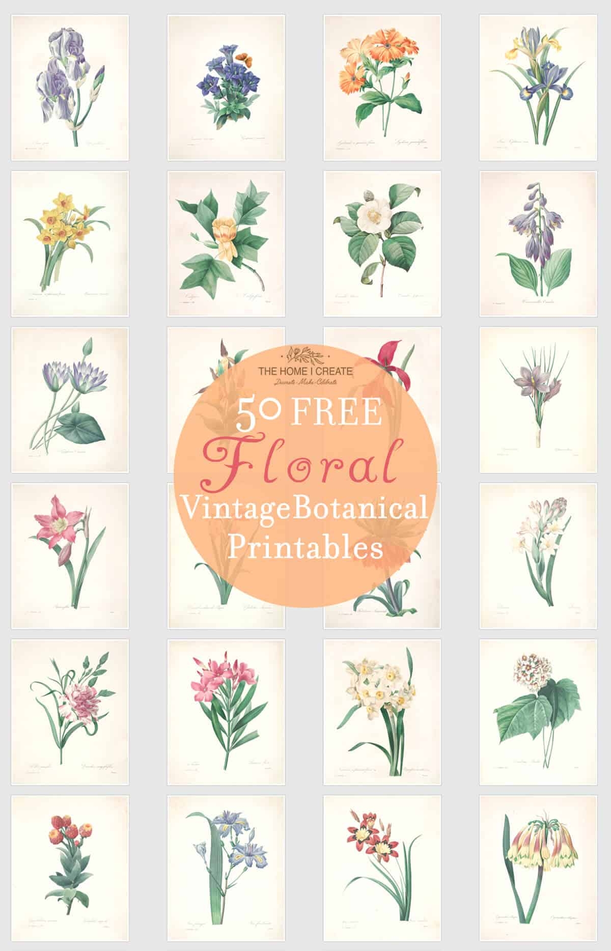 50 Beautiful Free Vintage Botanical Prints Free Printable 