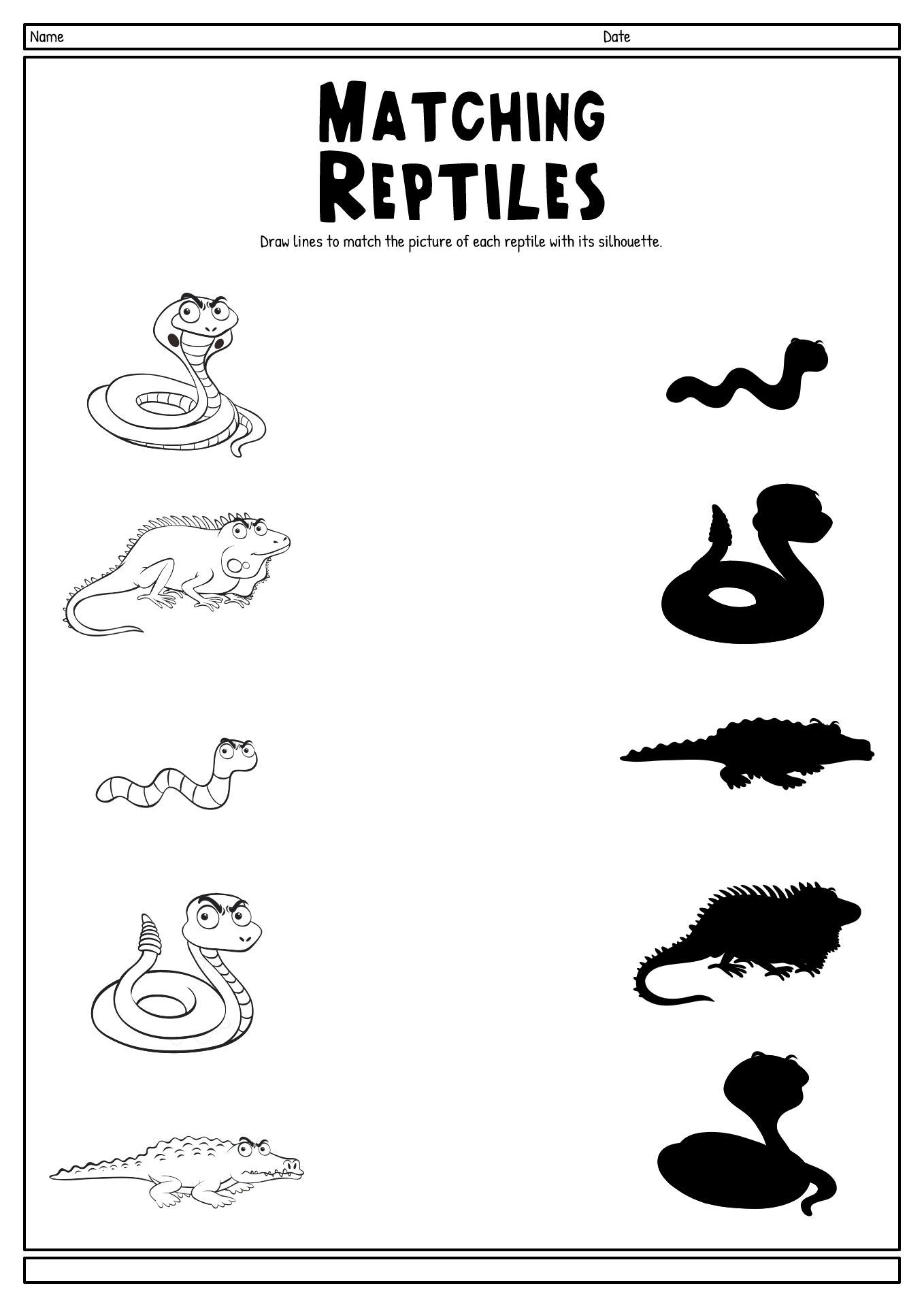 9 Amphibian Worksheets For Kindergarten