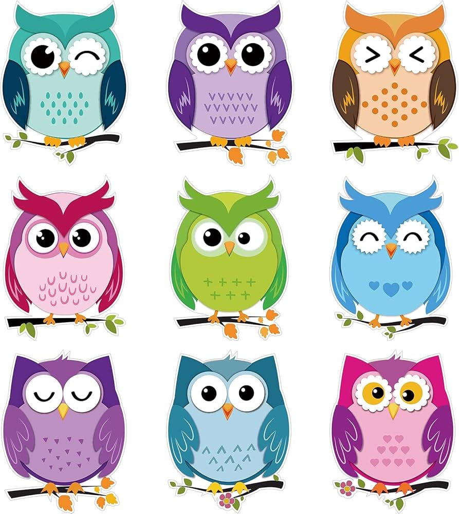 Amazon 45 Pieces Colorful Owls Cut Outs Owls Accents Paper Cutouts Owls Name Tags Labels Owls Themed Party Bulletin Board Classroom Decoration For Teacher Student Back To School Party Supply 6 7 X 5 5