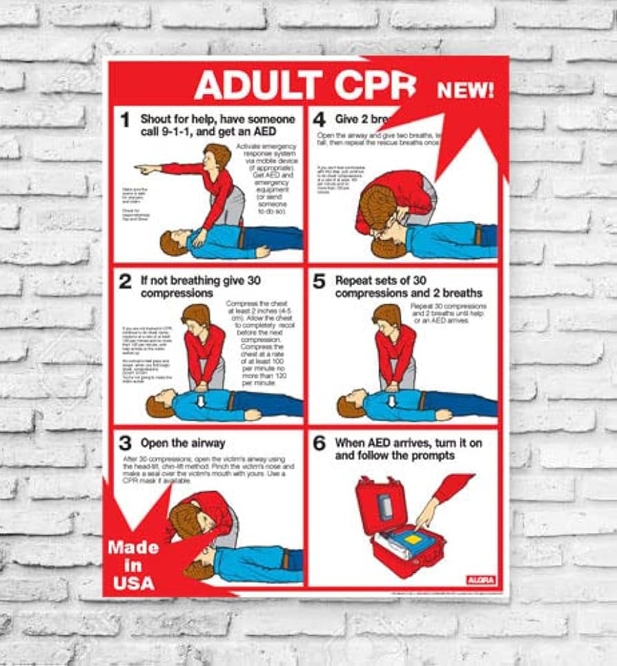 Amazon CPR For Adults 18 X 24 Laminated Poster 2017 Standards Cpr Charts Posters Prints