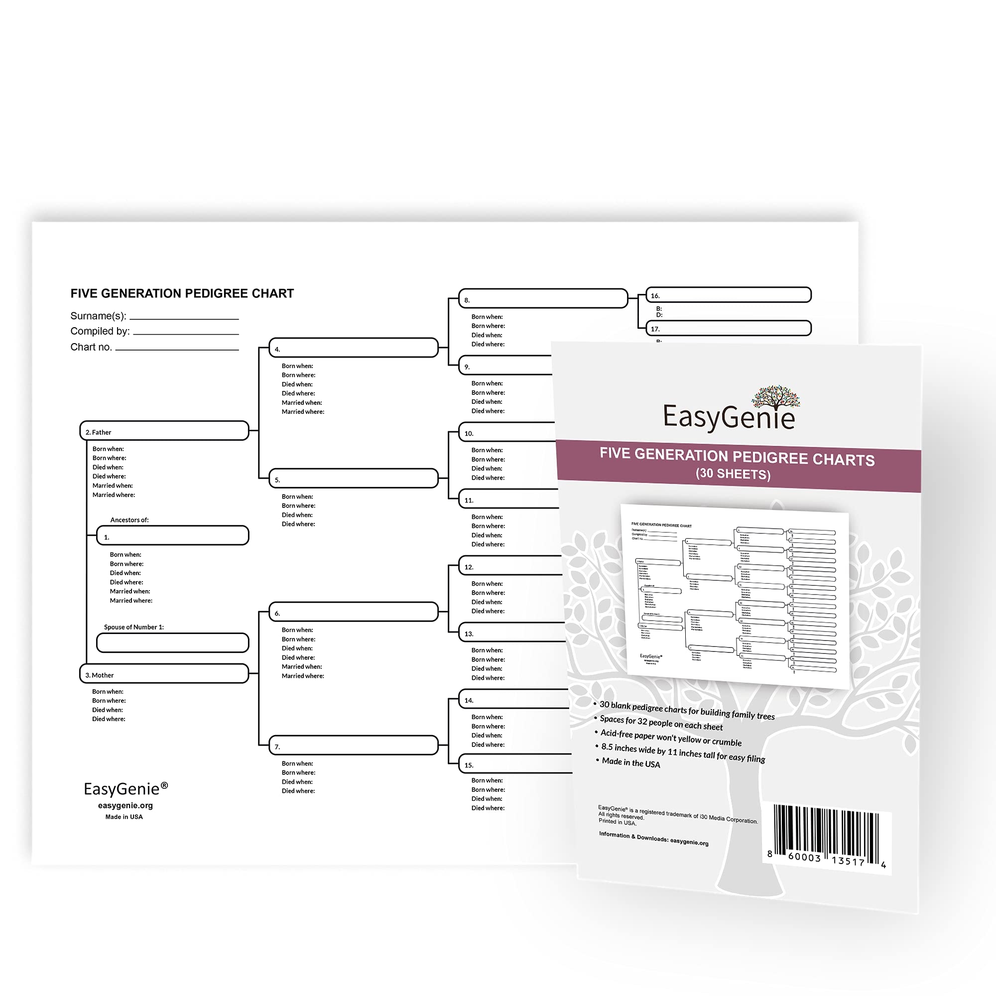 Amazon EASYGENIE Five Generation Pedigree Charts 30 Acid Free Sheets 8 5 By 11 Inches Genealogy Forms For Ancestry Office Products