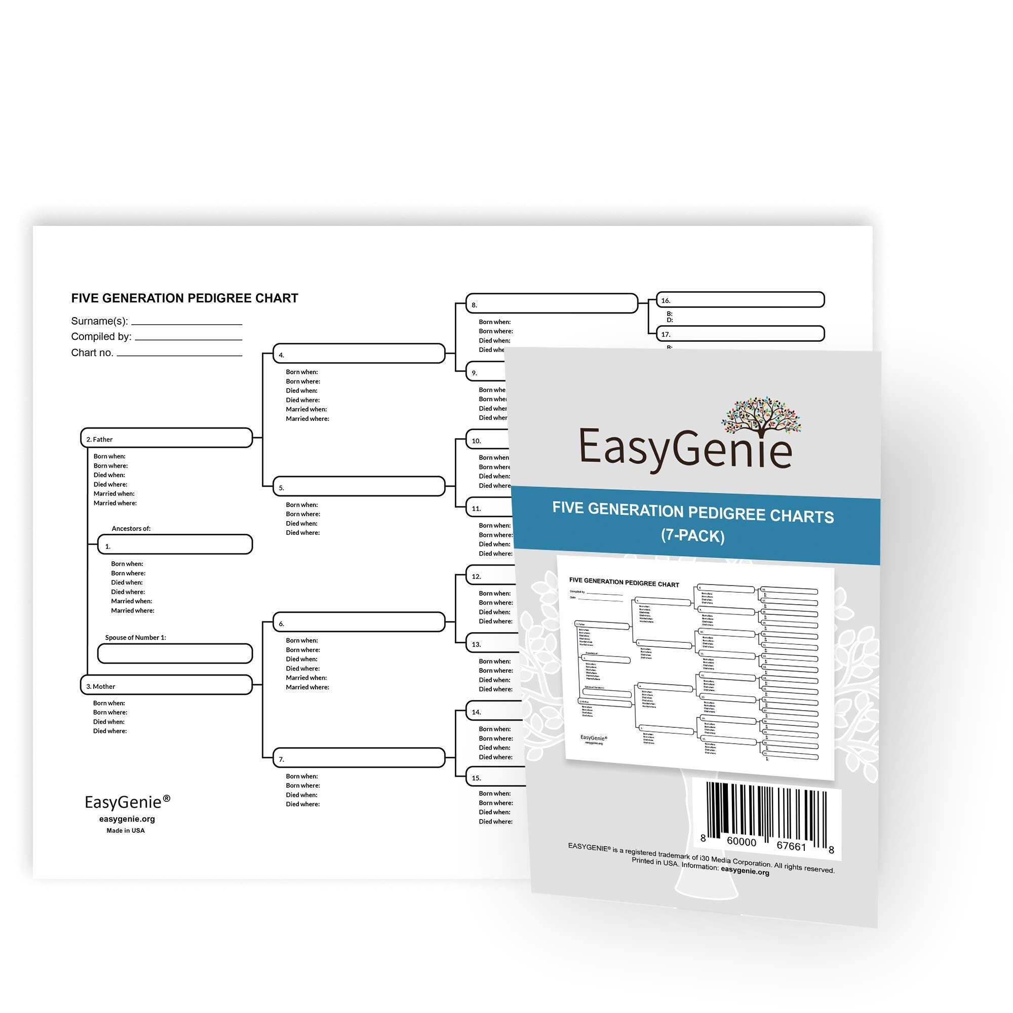 Amazon Five Generation Pedigree Charts For Genealogists 7 pack Archival Quality Genealogy Forms For Ancestry Office Products