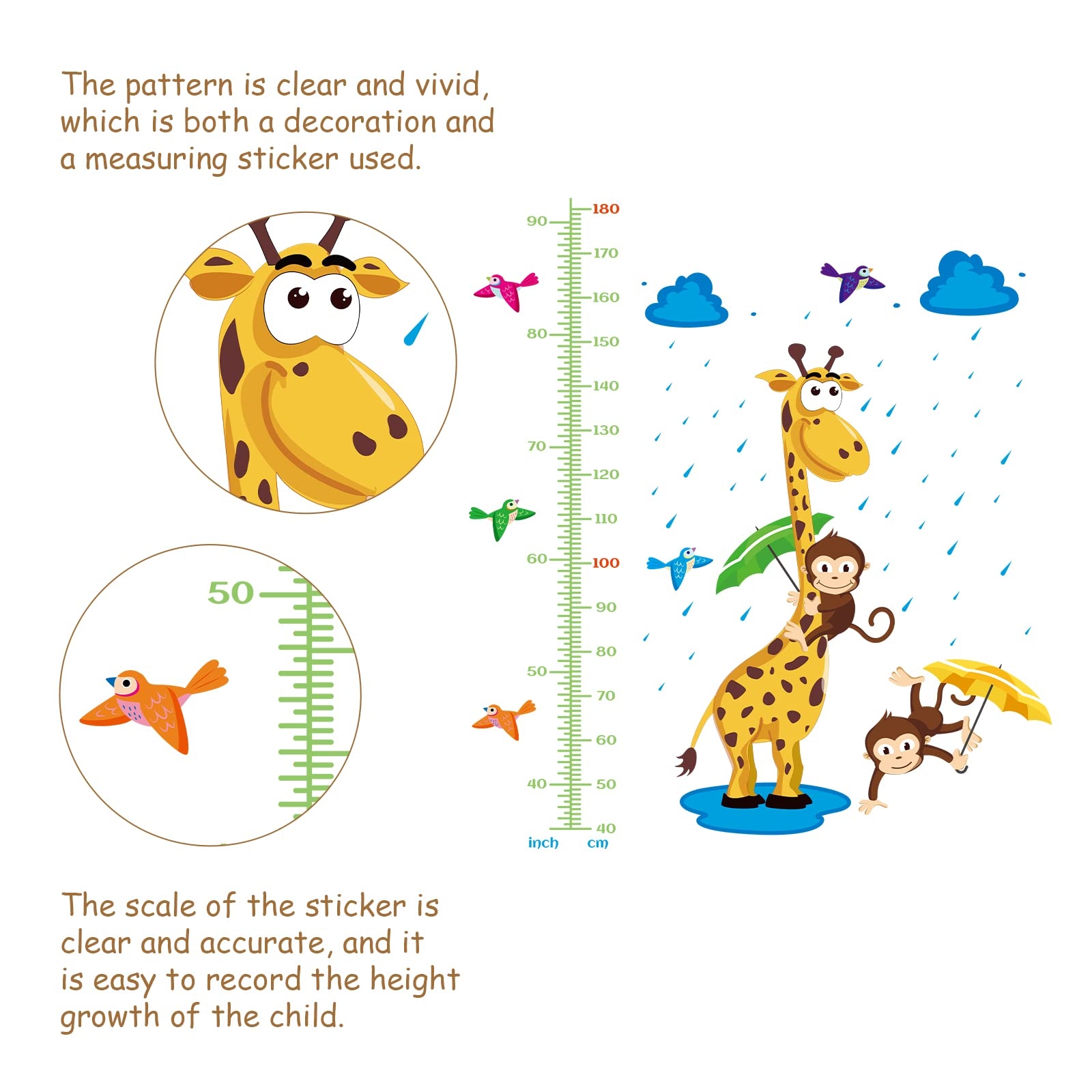 Amazon SUPERDANT 3 PCS Set Height Chart Giraffe Monkey Height Chart Raindrop Bird Wall Sticker PVC Growth Charts Ruler 40 To 180 Cm Height Measure For Nursery Bedroom Living Room Baby