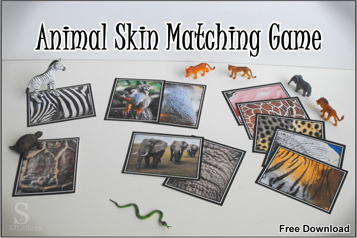 Animal Skin Matching Game Free Printout