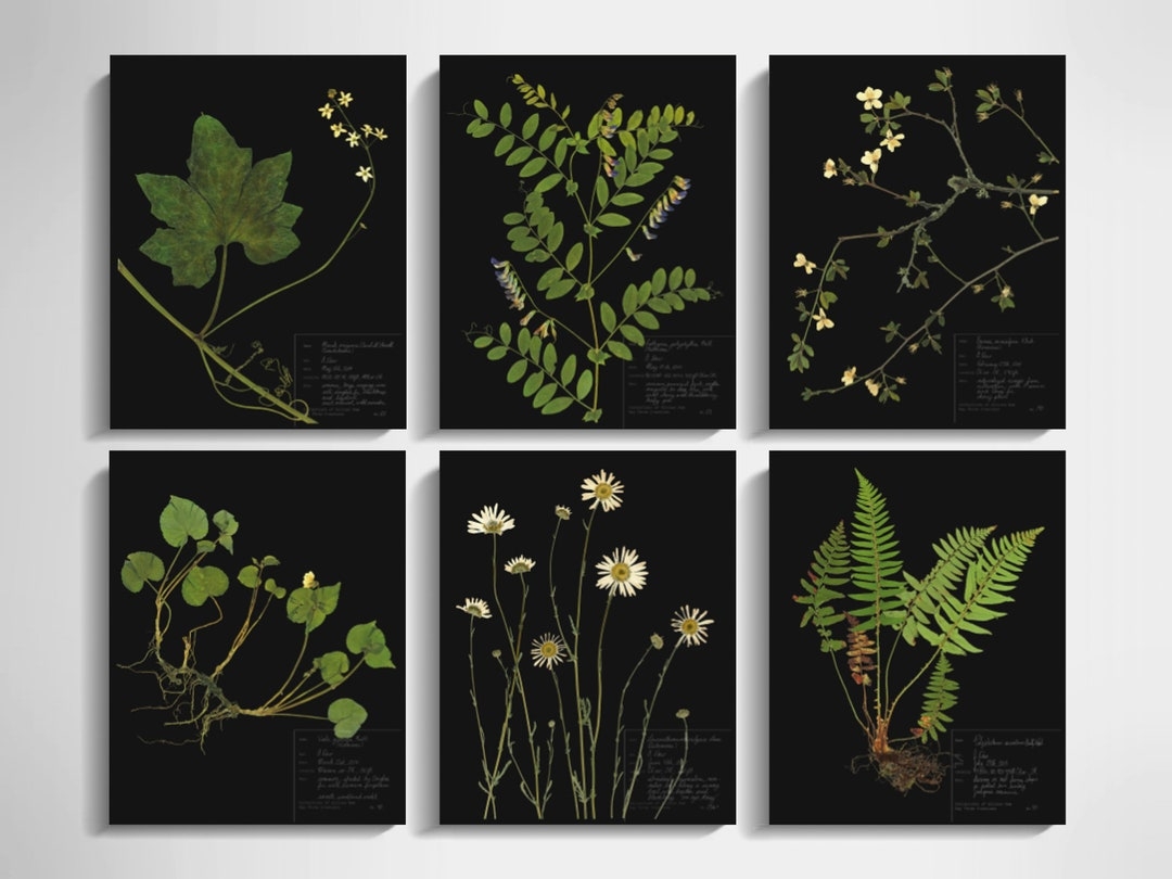 Free Stamped Printable Botanical Images