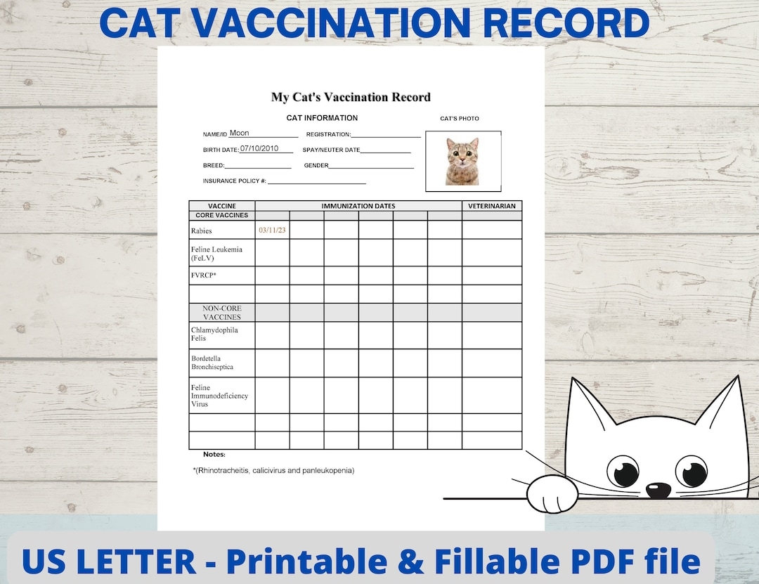 Cat Vaccination Record Cat Health Record Cat Shot Record Pet Health Record Instant Download PDF Fillable Printable Etsy