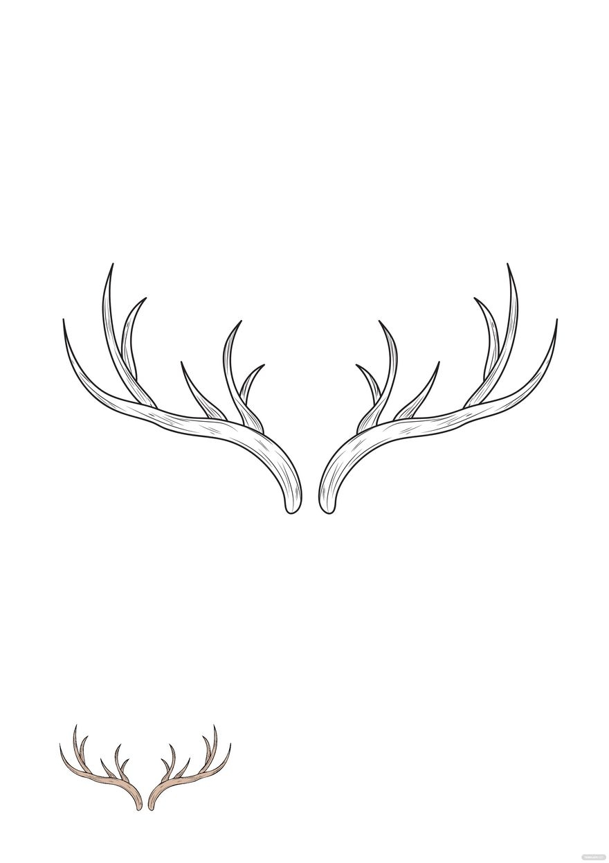 Deer Antlers Coloring Page In PDF Download Template