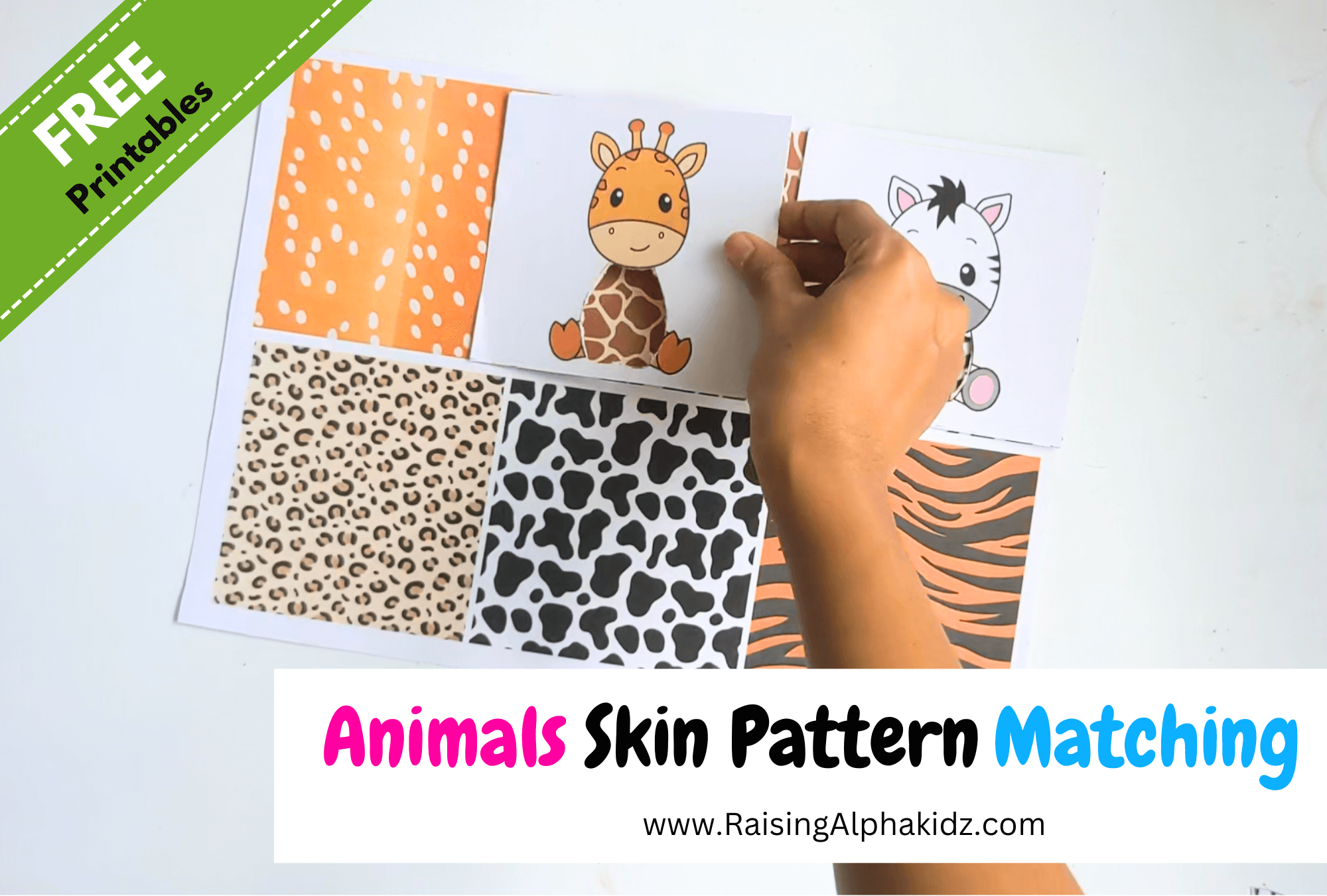 DIY Animal Skin Pattern Matching Cards Raising Alphakidz