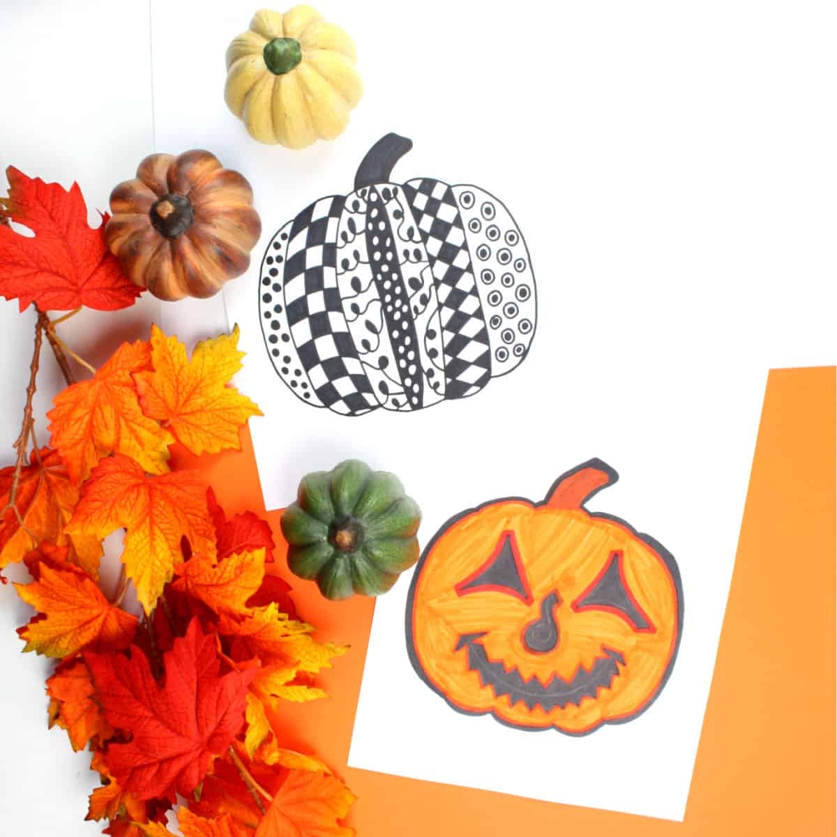 Pumpkin Patterns Free Printable Wildlife