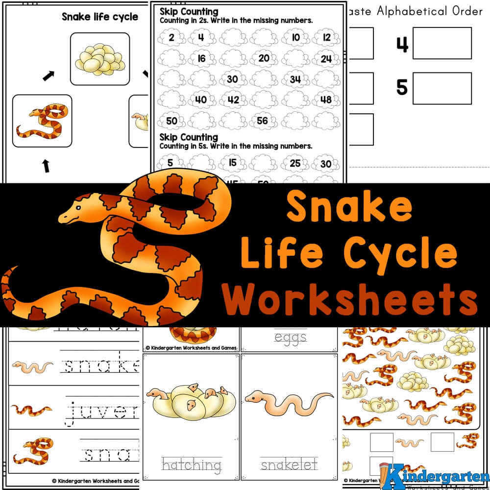 FREE Snake Life Cycle Printable Worksheets