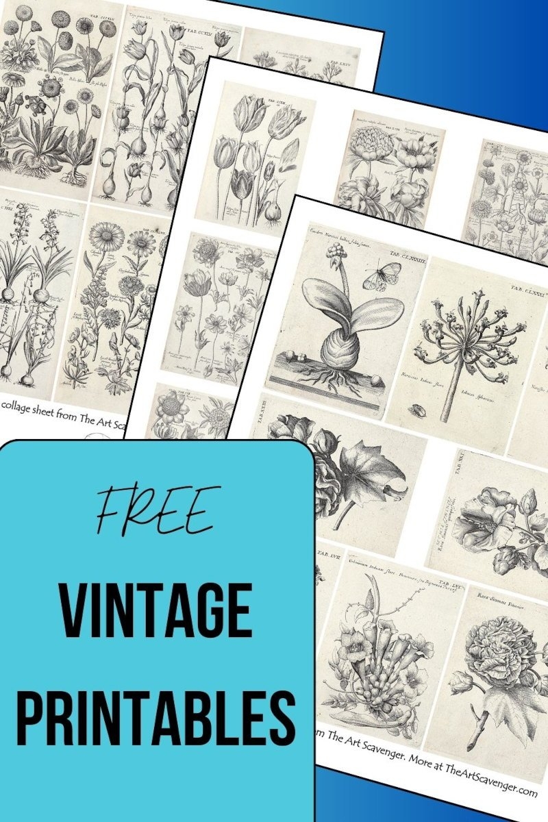 Free Vintage Flower Printables The Art Scavenger
