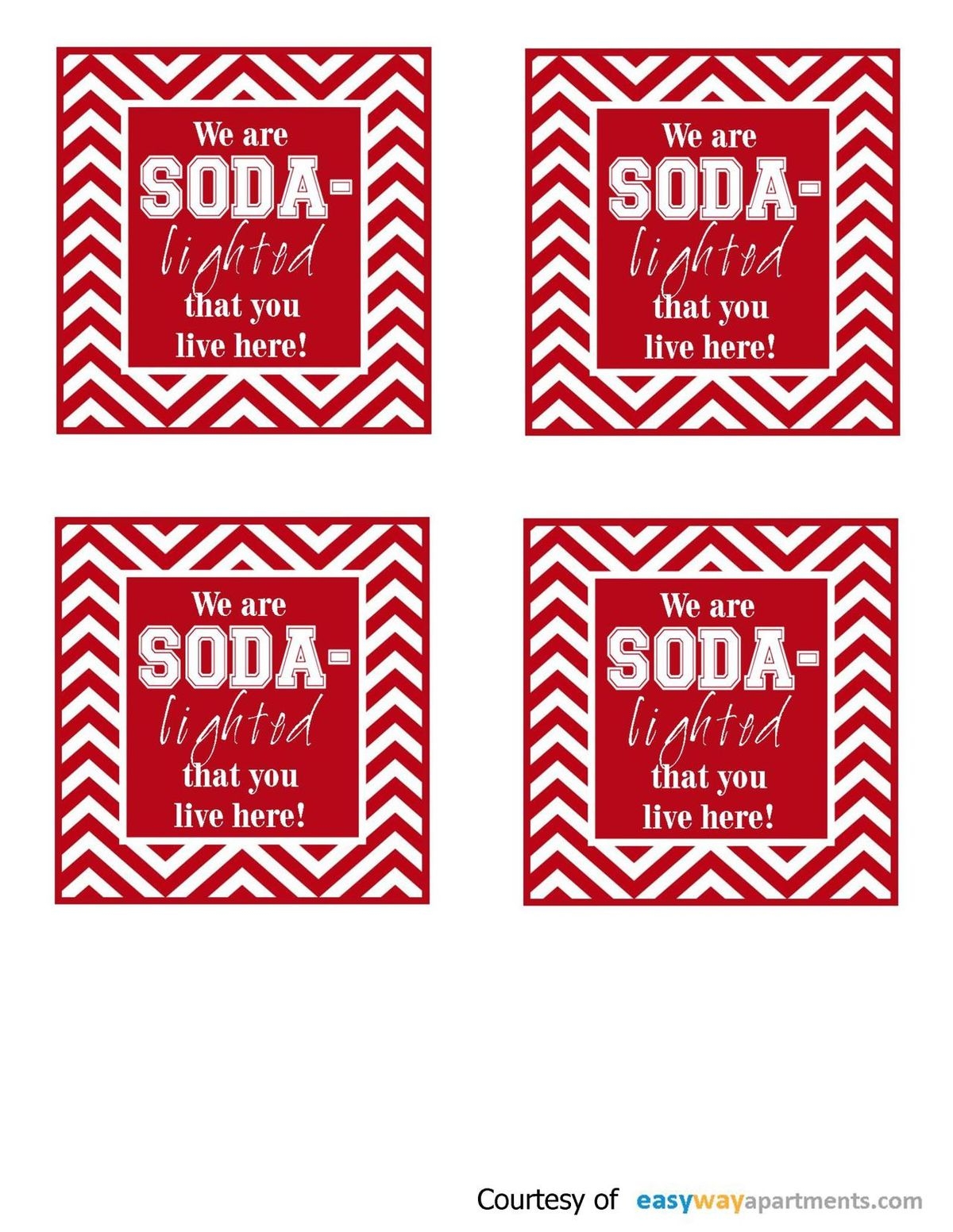 Move In Gift We re Soda Lighted That You Live Here 