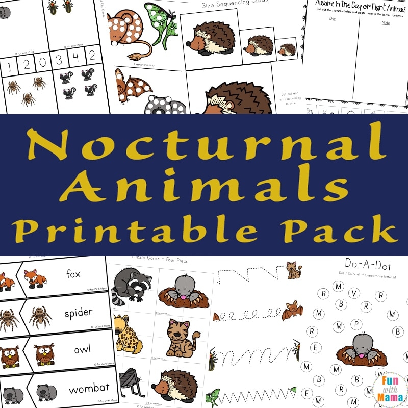 Nocturnal Animals For Kids Fun With Mama
