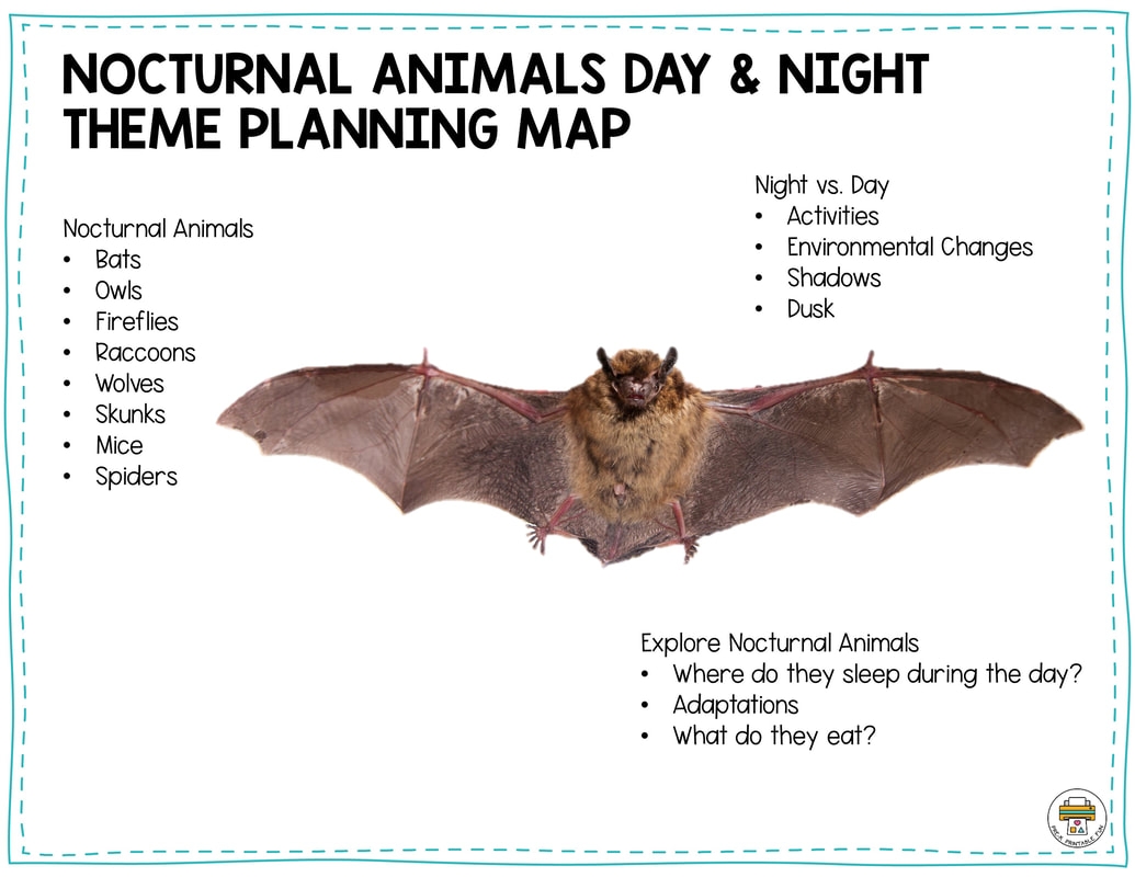 Nocturnal Animals Lesson Planning Page Pre K Printable Fun