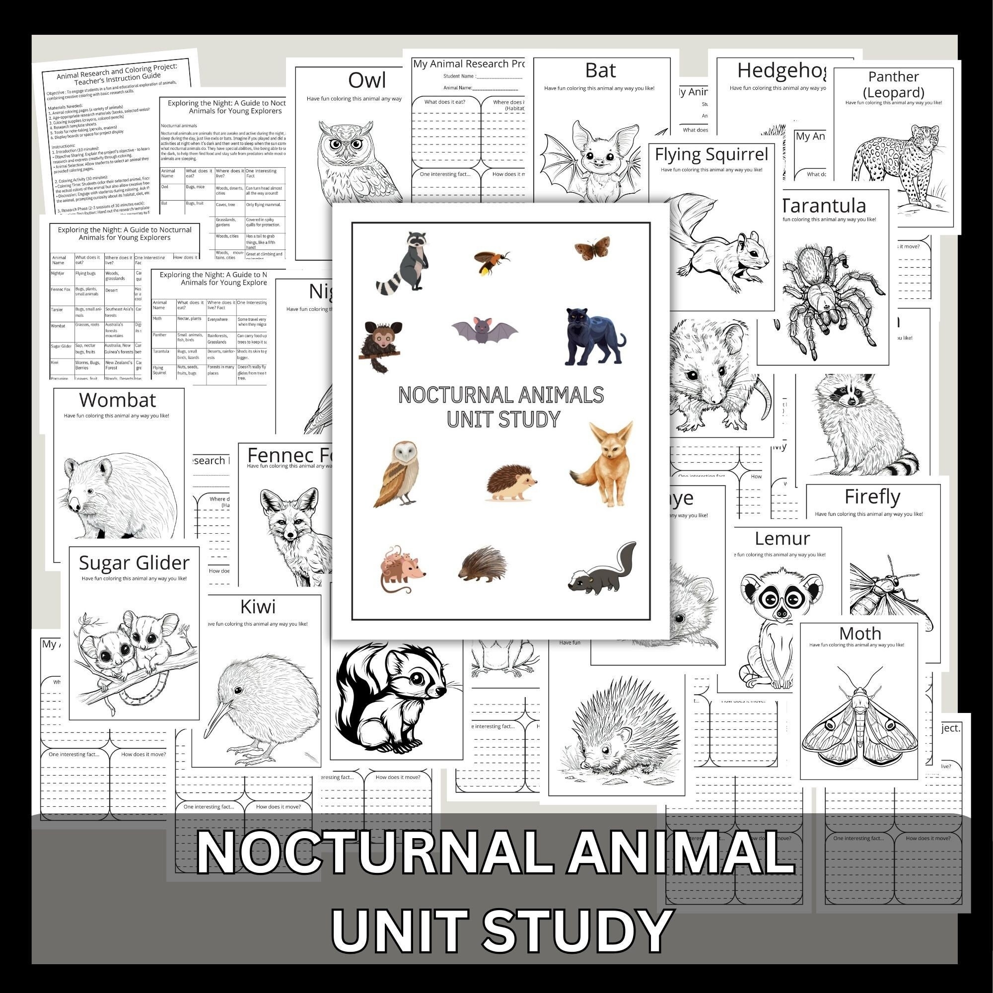 Nocturnal Animals Free Printables