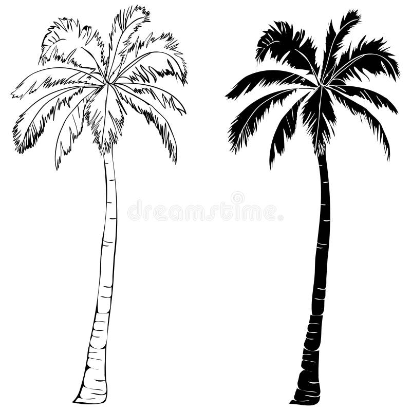 Palm Tree Stencil Stock Illustrations 855 Palm Tree Stencil Stock Illustrations Vectors Clipart Dreamstime