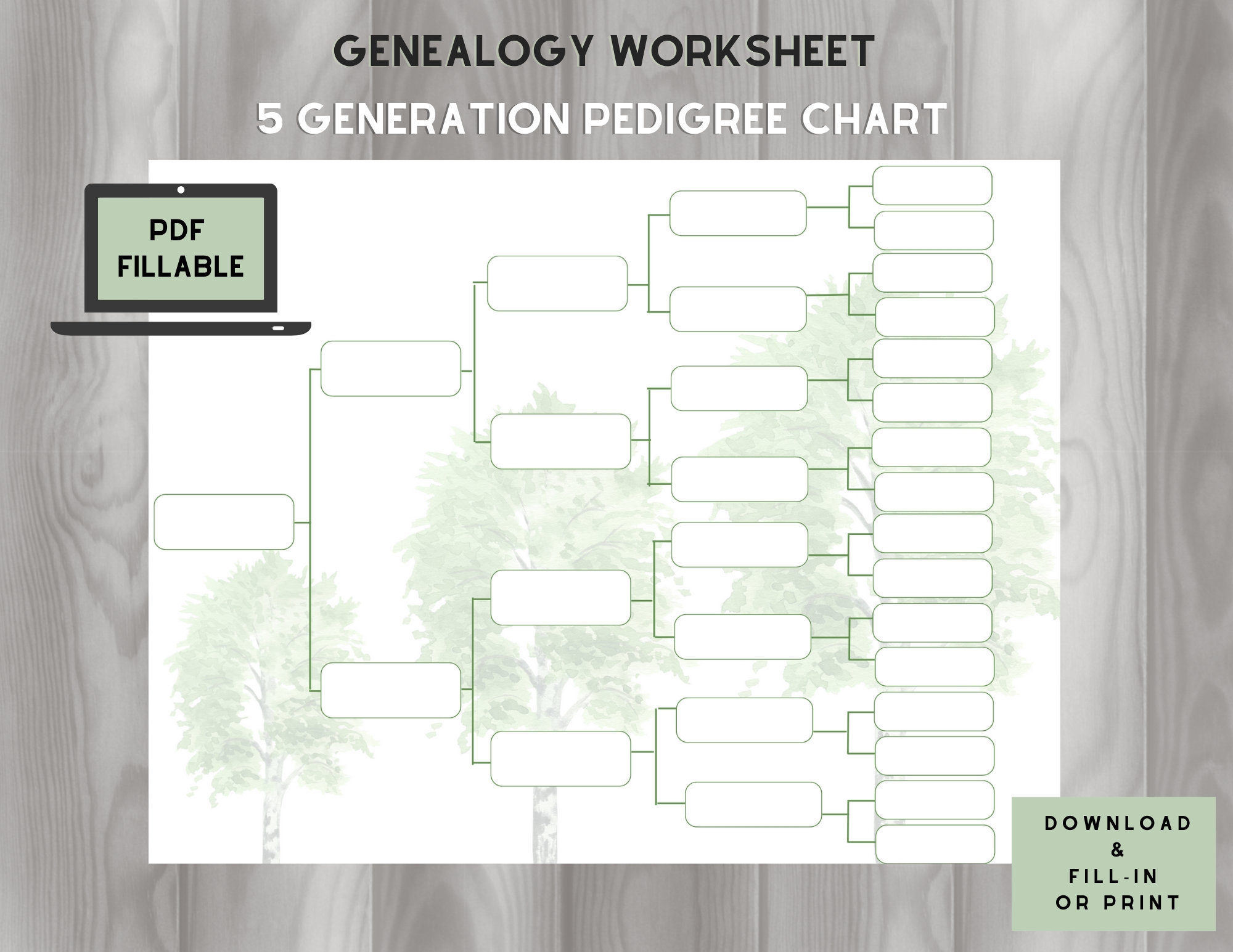 Pedigree Chart 5 Generations On One Page FILLABLE PDF Etsy
