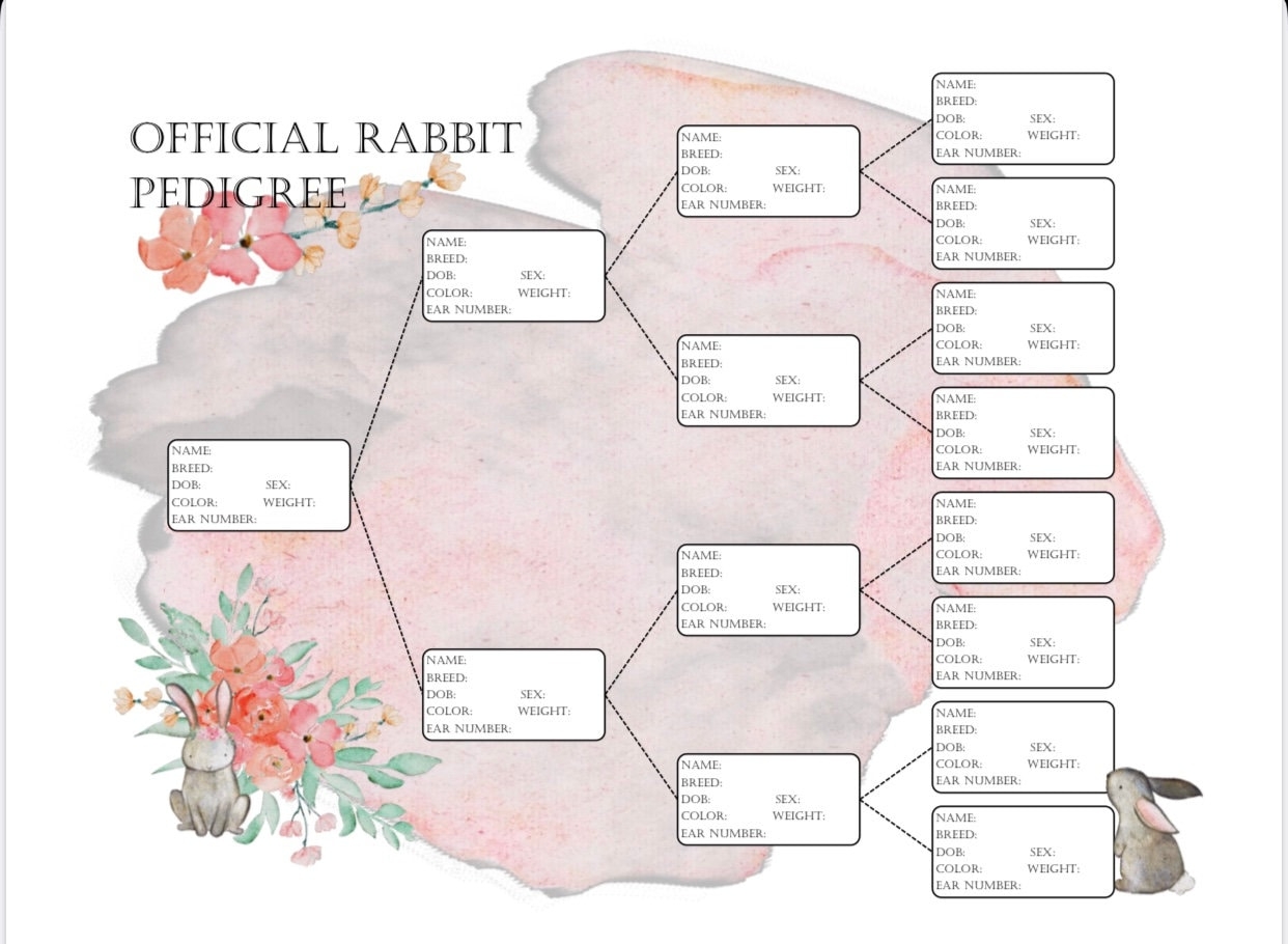 Rabbit Pedigree Instant PDF Download With Bonus Breeding Log Bonus Pedigree Etsy