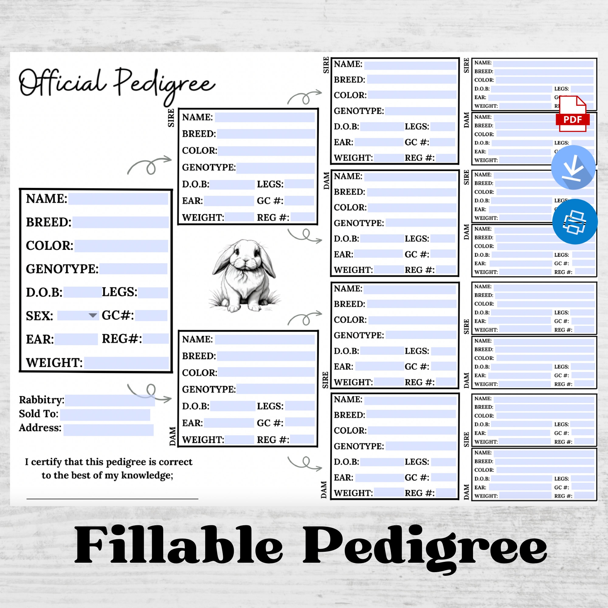 Rabbit Pedigree Template Fillable Pedigree Rabbit Pedigree Rabbitry Pedigree Rabbits Rabbitry Etsy