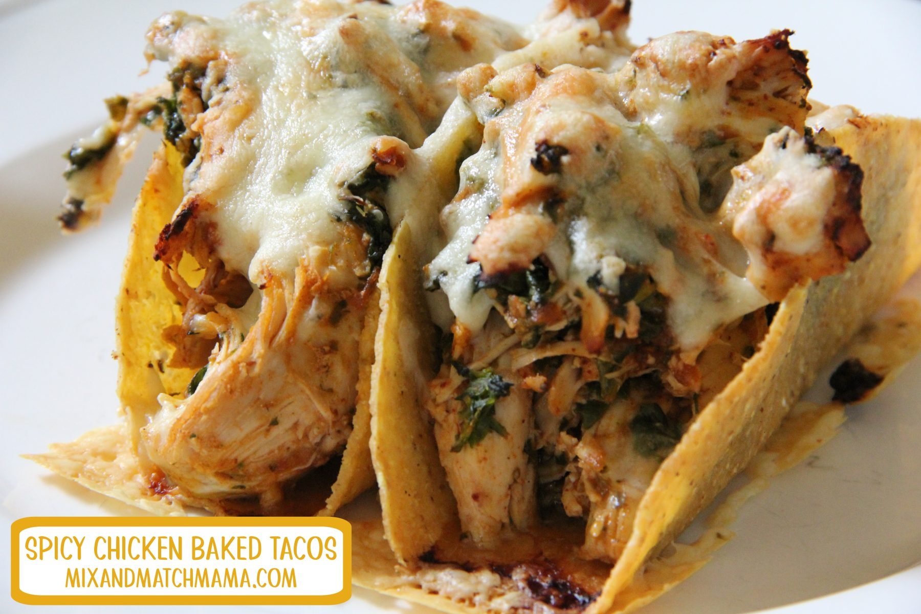 Taco Shell Free Printable Coupons