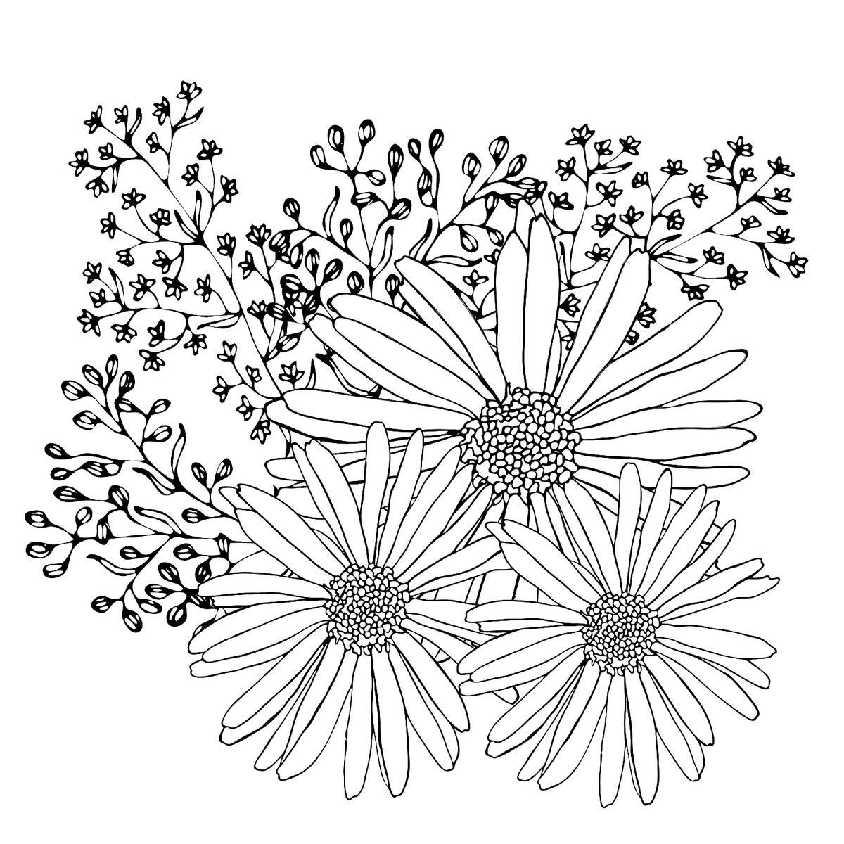 Spring Flowers Coloring Pages Free Printable Coloring Pages Of Flowers Printables 30Seconds Mom