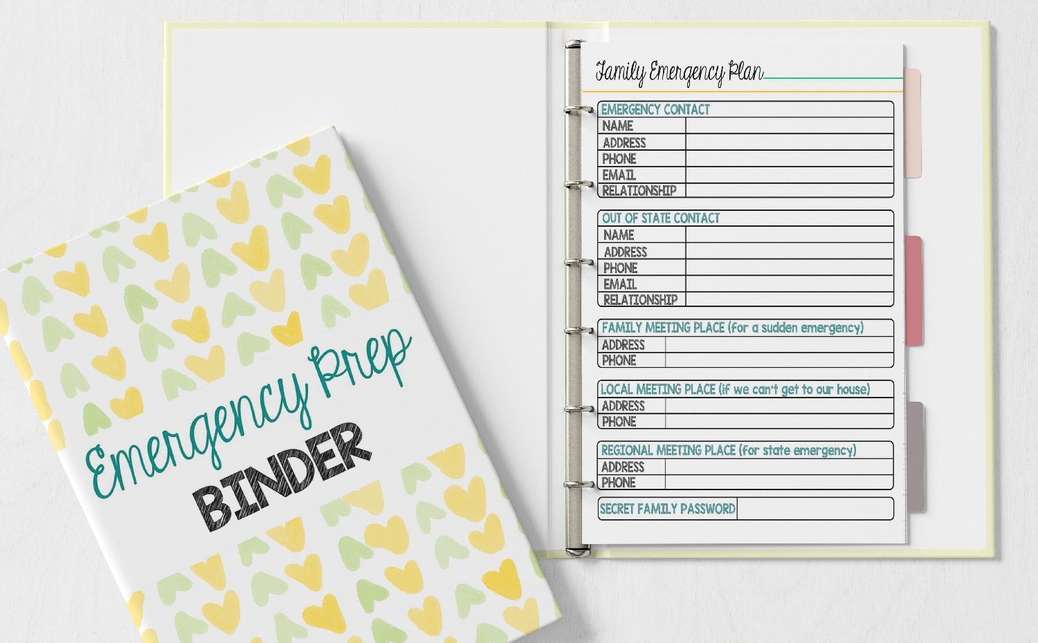 The Emergency Prep Binder Every Family Should Have Sunny Day Family