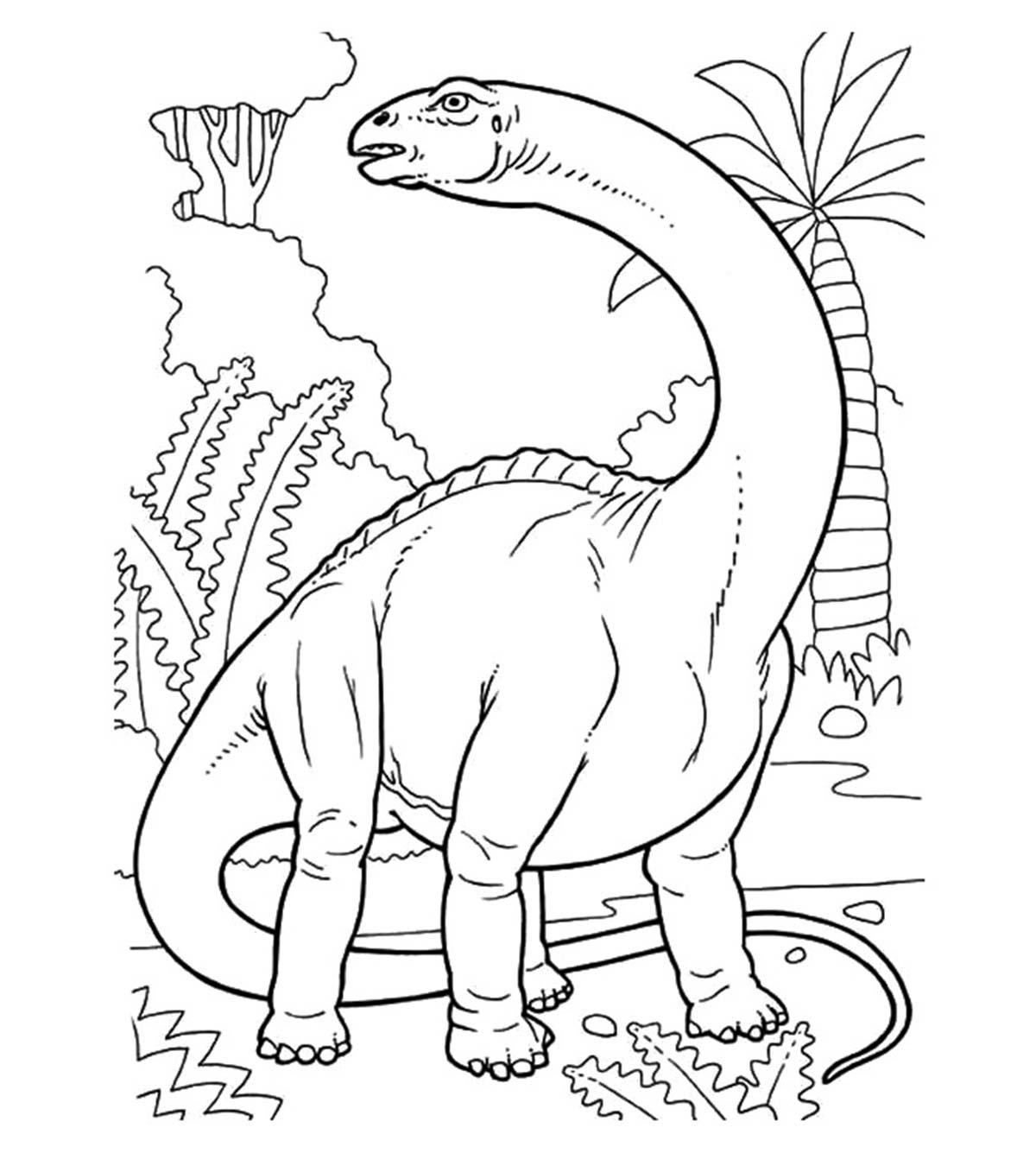 Free Printable Drawings Of Dinosaurs
