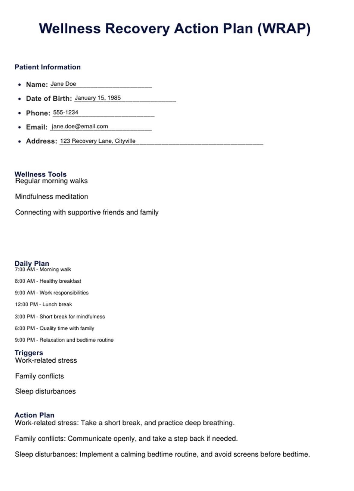 WRAP Plan Template Example Free PDF Download