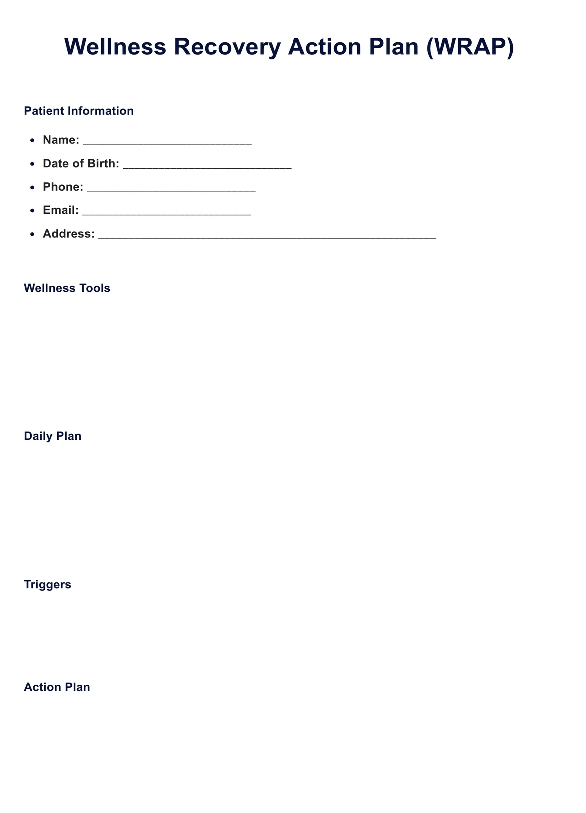 WRAP Plan Template Example Free PDF Download