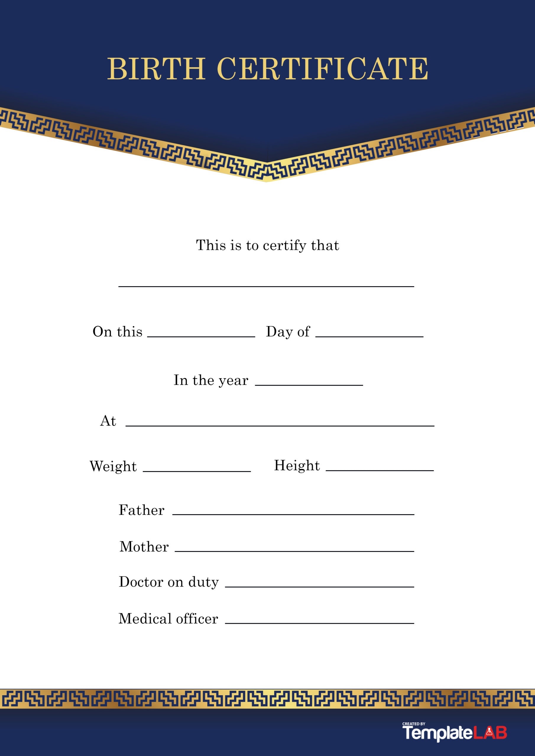 Cat Birth Certificate Free Printable