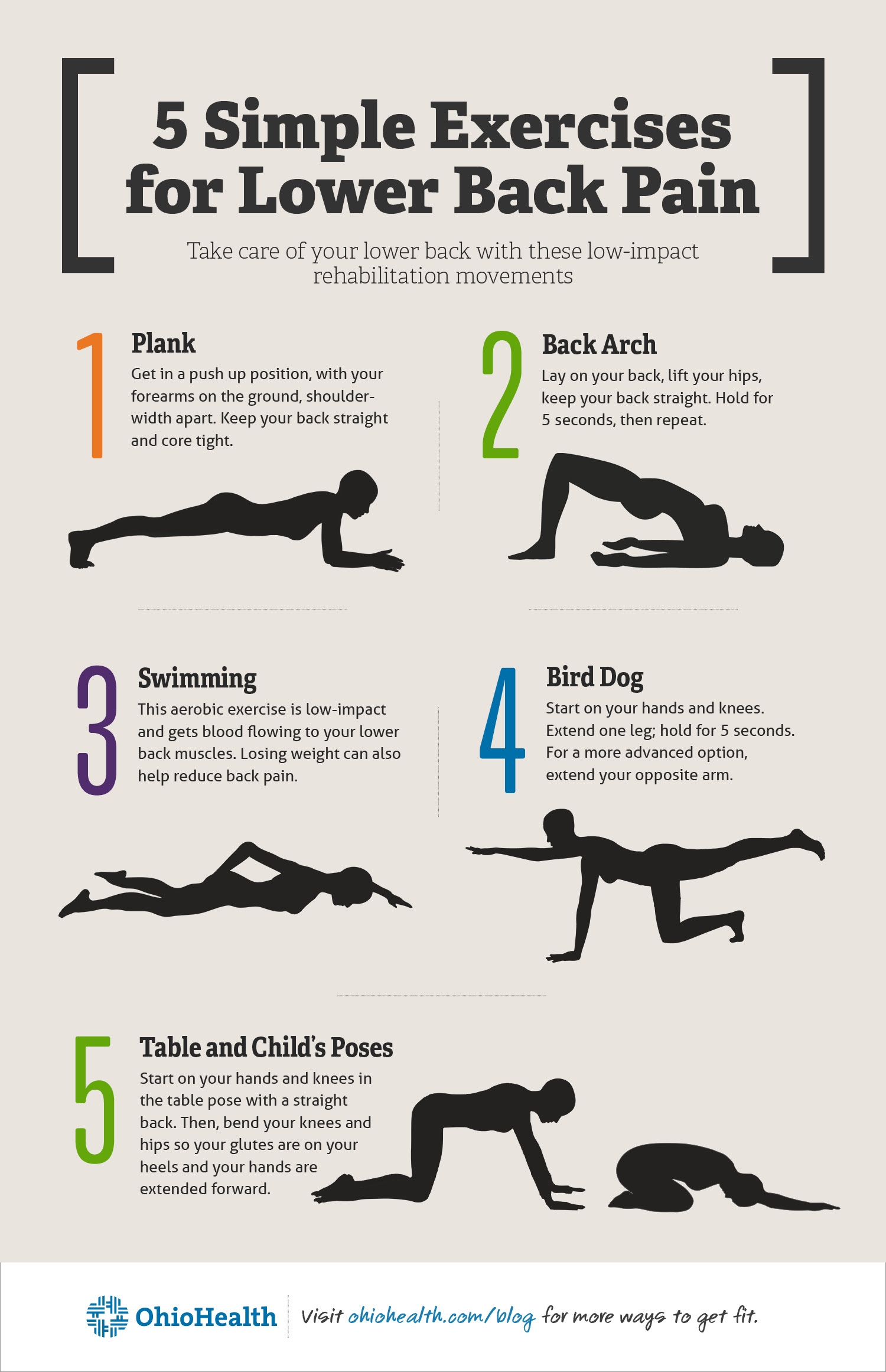 5 Super Simple Exercises For Lower Back Pain Infographic 