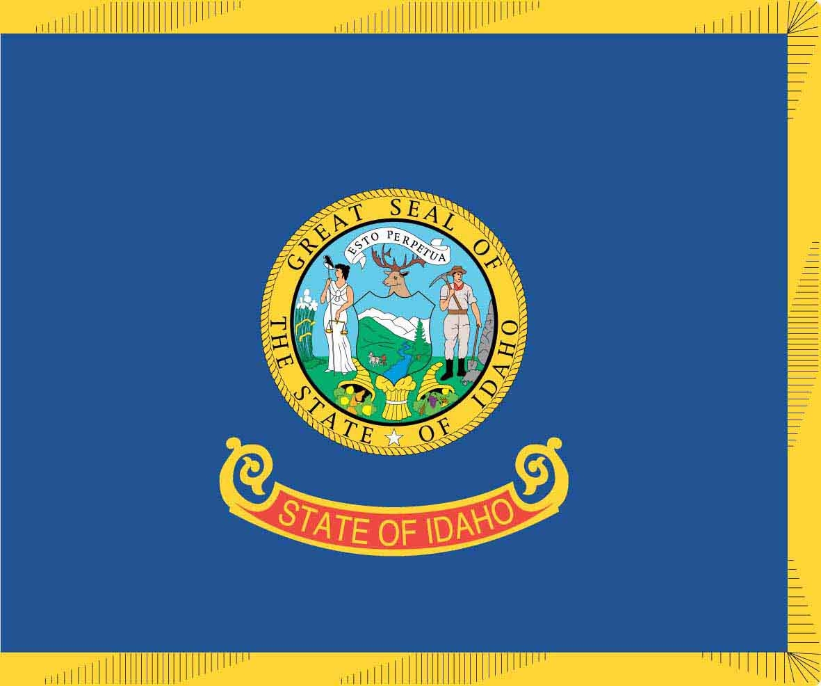 50 State Flags Of The USA