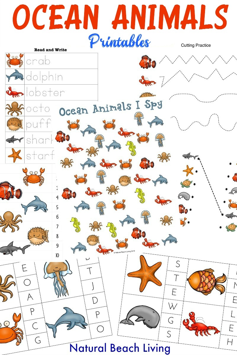 60 Best Ocean Activities And Ocean Crafts For Preschool And Kindergarten Natural Beach Living