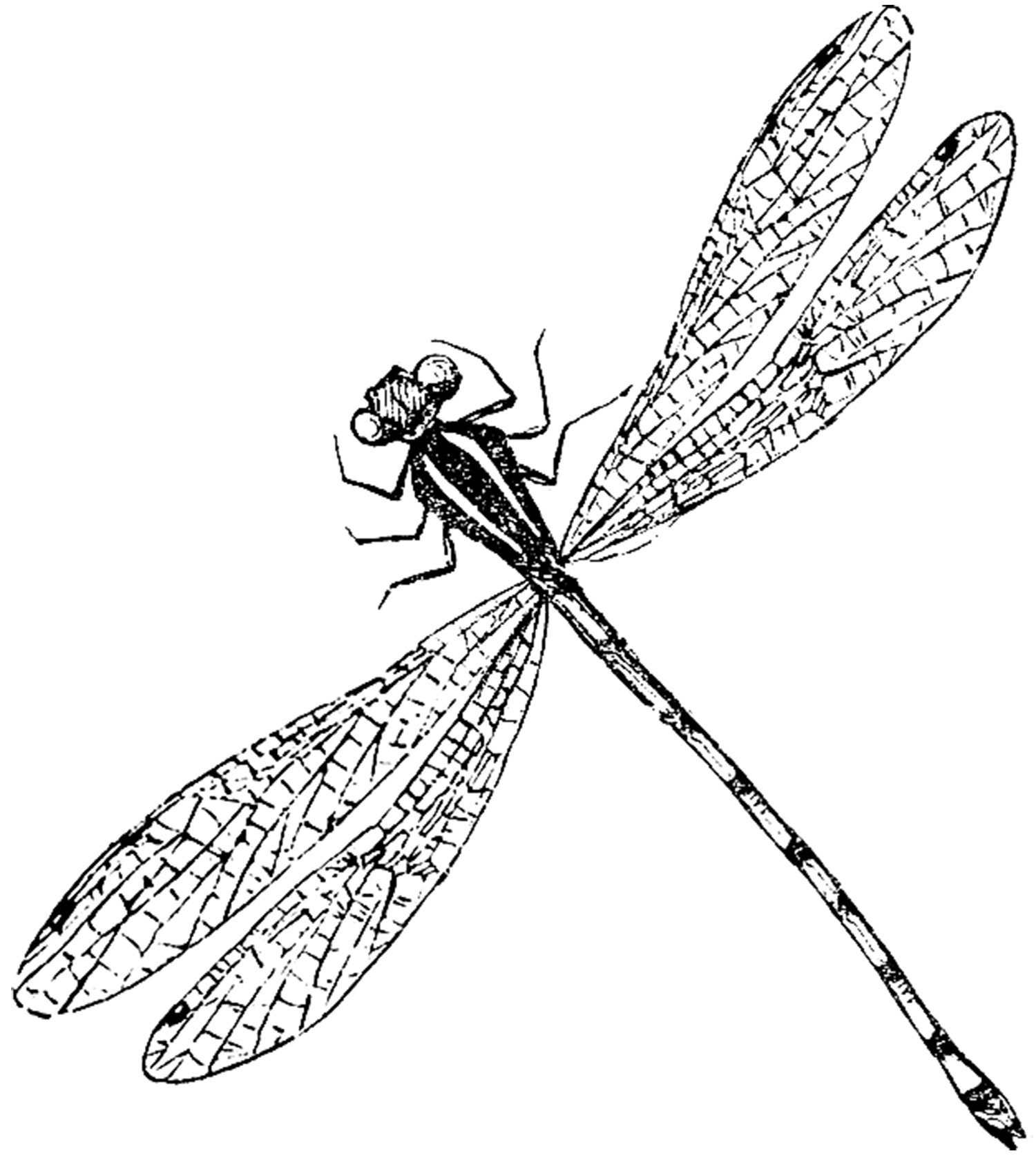 Free Dragonfly Stencil Printable