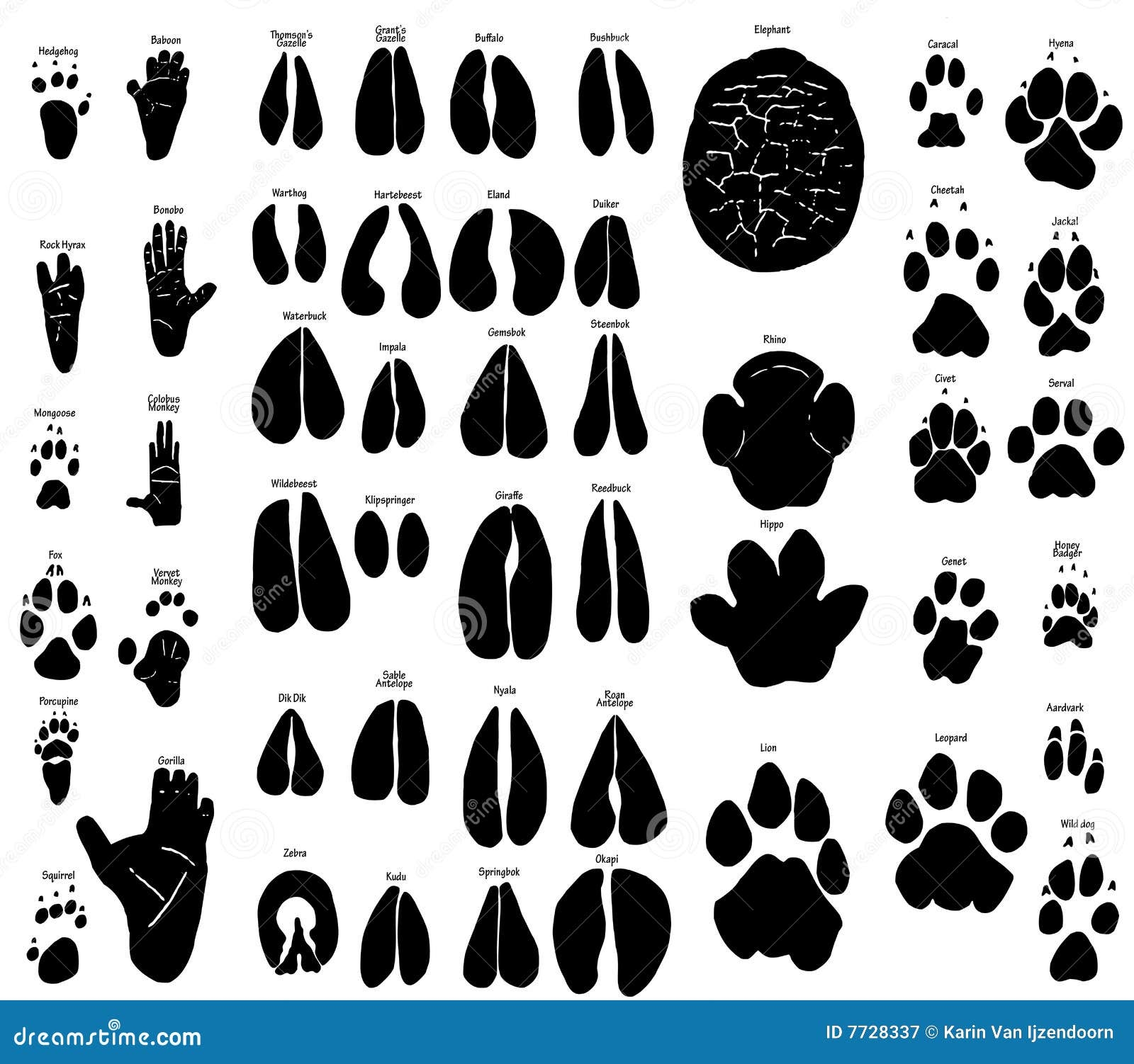 Free Printable Animal Footprints