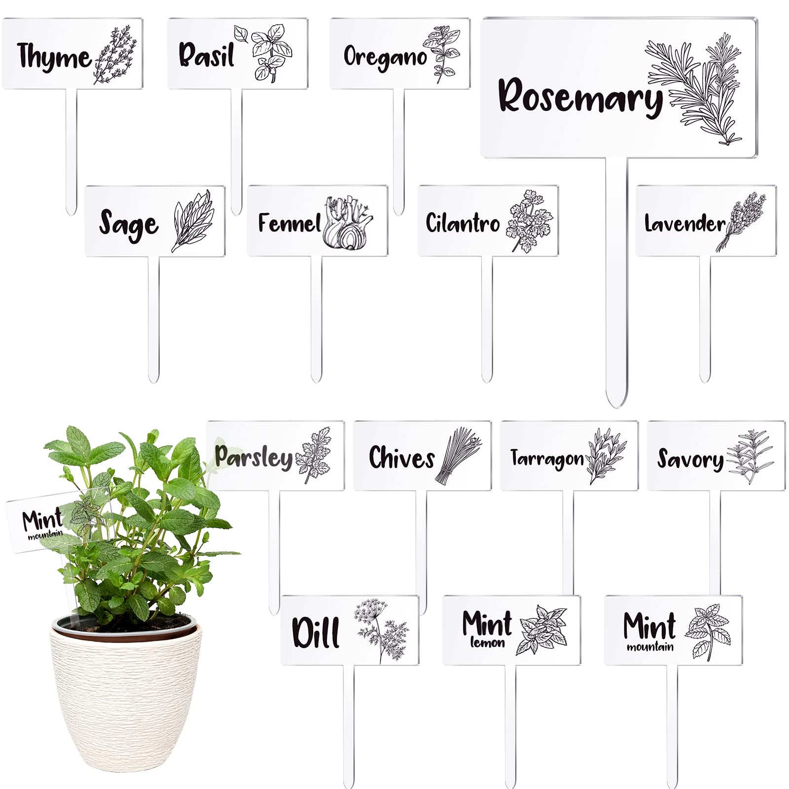 Free Printable Plant Labels