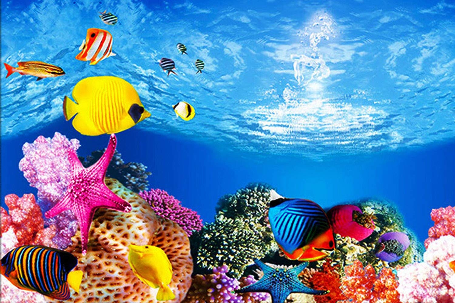 Amazon ELEBOX Water Plants Aquarium Background Poster HD Fish Tank Background Decorations Landscape 2 Sided 16 x 40 Pet Supplies