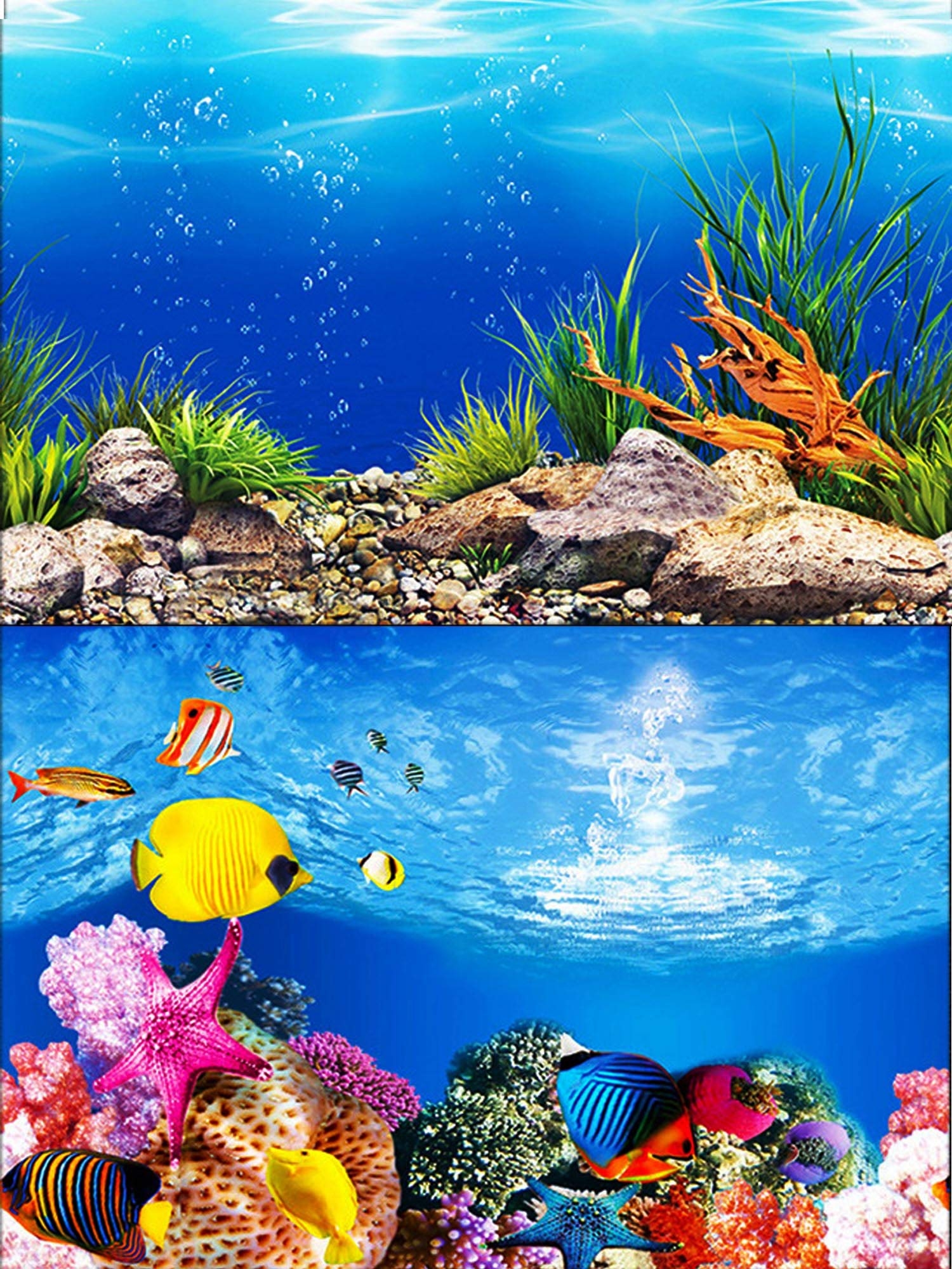 Amazon ELEBOX Water Plants Aquarium Background Poster HD Fish Tank Background Decorations Landscape 2 Sided 16 x 40 Pet Supplies