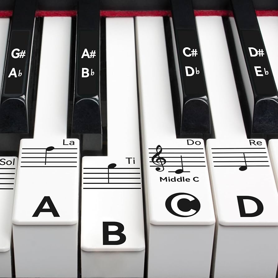 Amazon Runzoos Piano Key Stickers For 88 76 61 54 49 Keys Removable Piano Stickers For Beginners Piano Keyboard Stickers For Kids Keyboard Stickers For Piano Keys Piano Key Labels Notes Black Musical Instruments