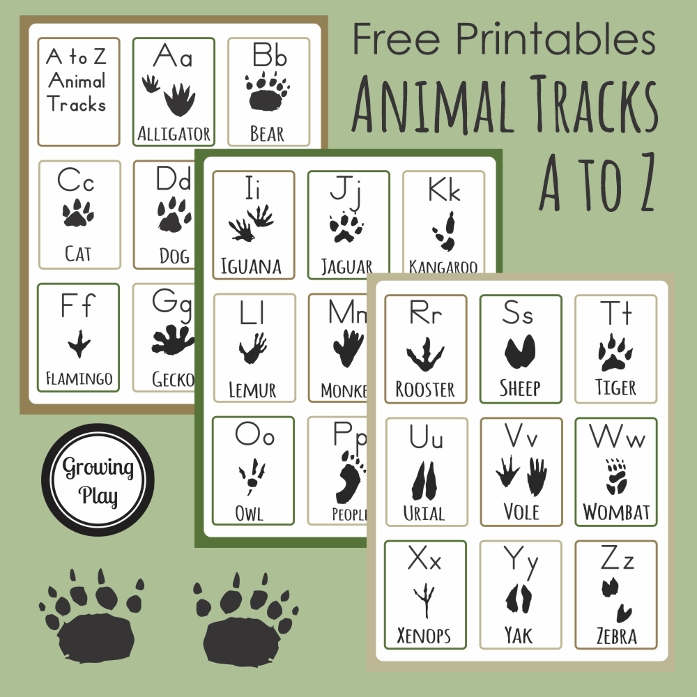 Animal Track Printables From A To Z Growing Play