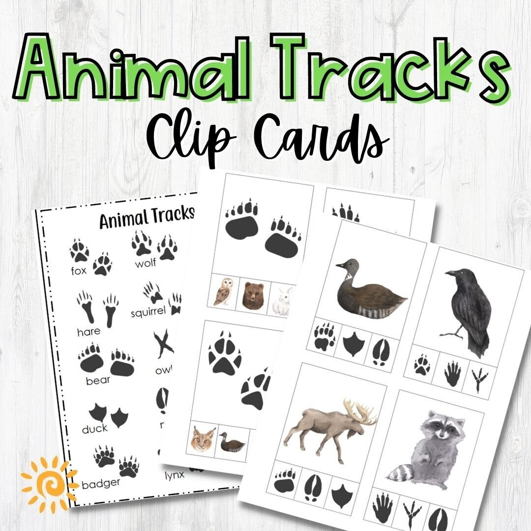 Animal Tracks Clip Cards Etsy Israel