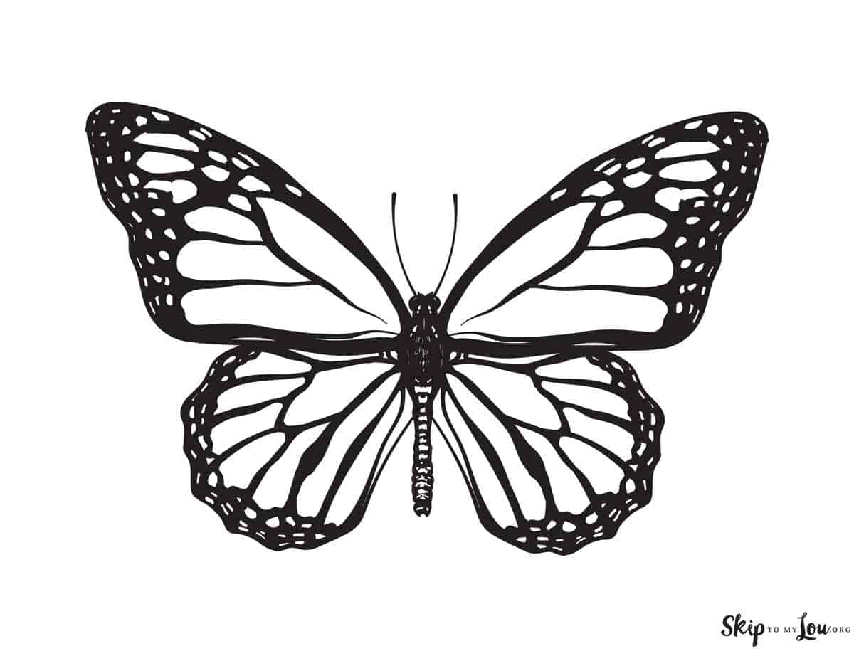 Monarch Butterfly Free Printable
