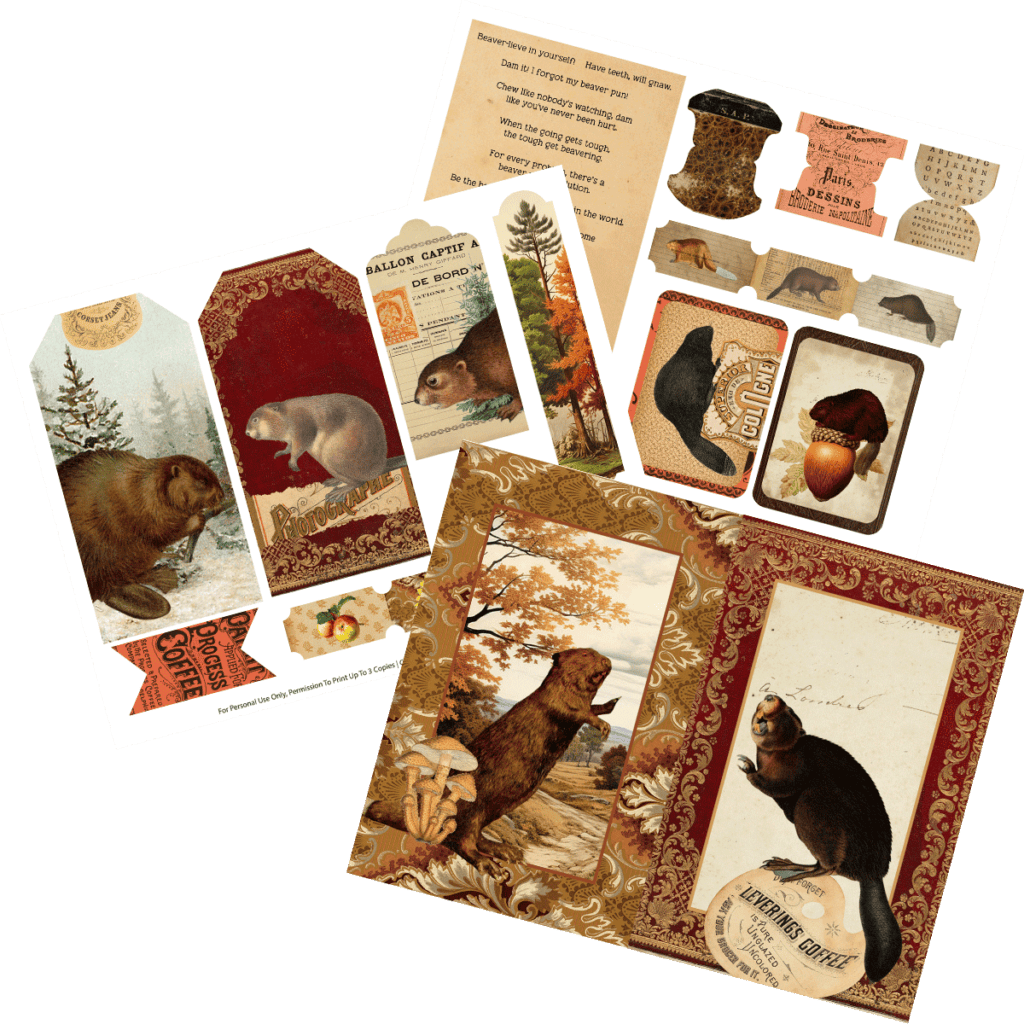 Free Printable Beaver Pictures