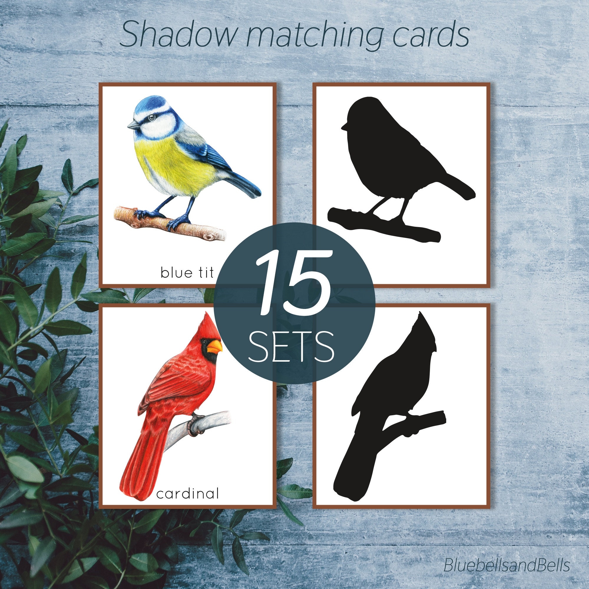 Bird Shadow Matching Flash Cards Montessori Spring Printable Toddler Watercolor Flash Cards Etsy