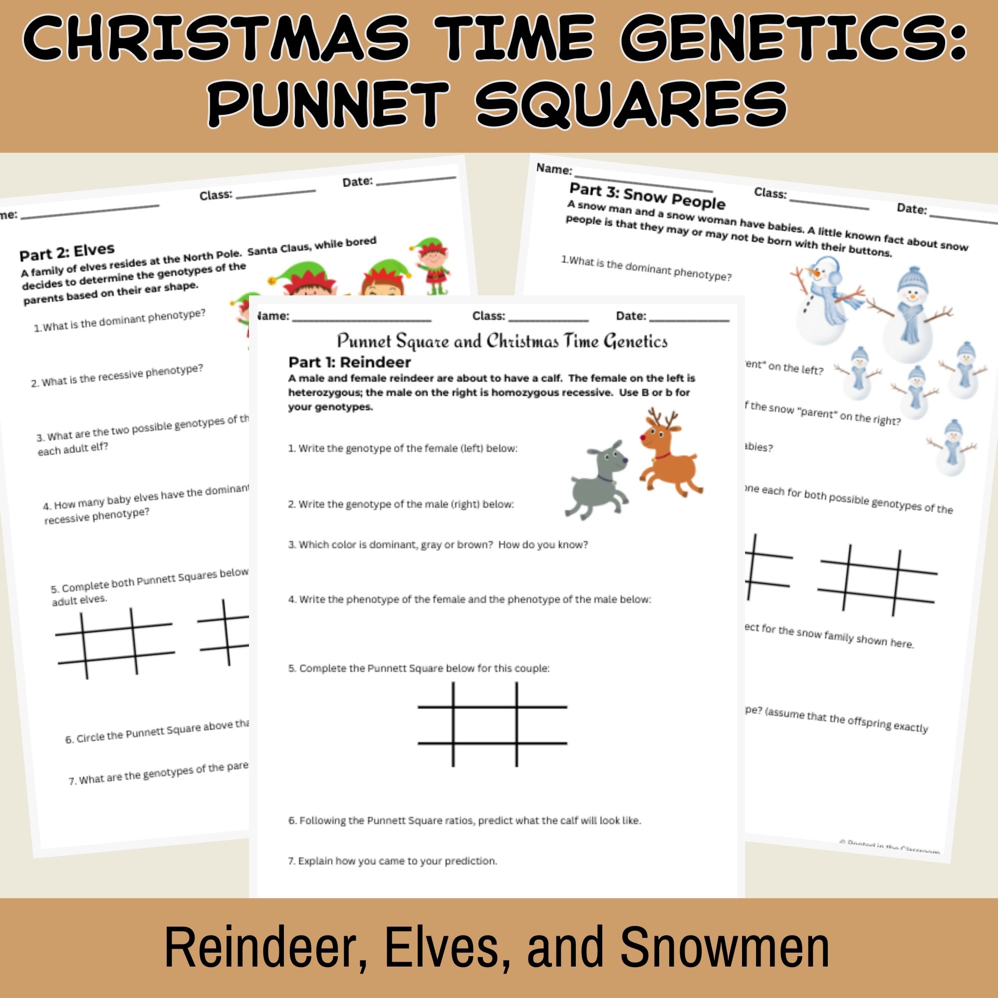 Free Printable Punnett Square Worksheet