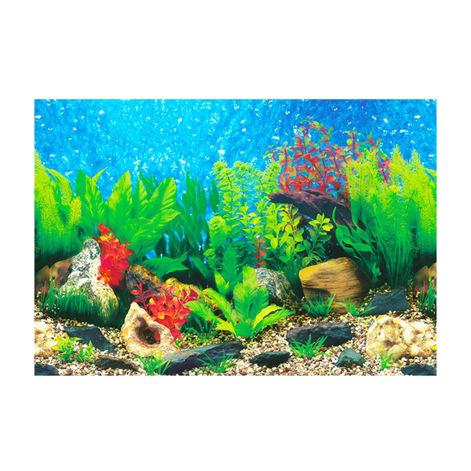 Free Printable Aquarium Backgrounds