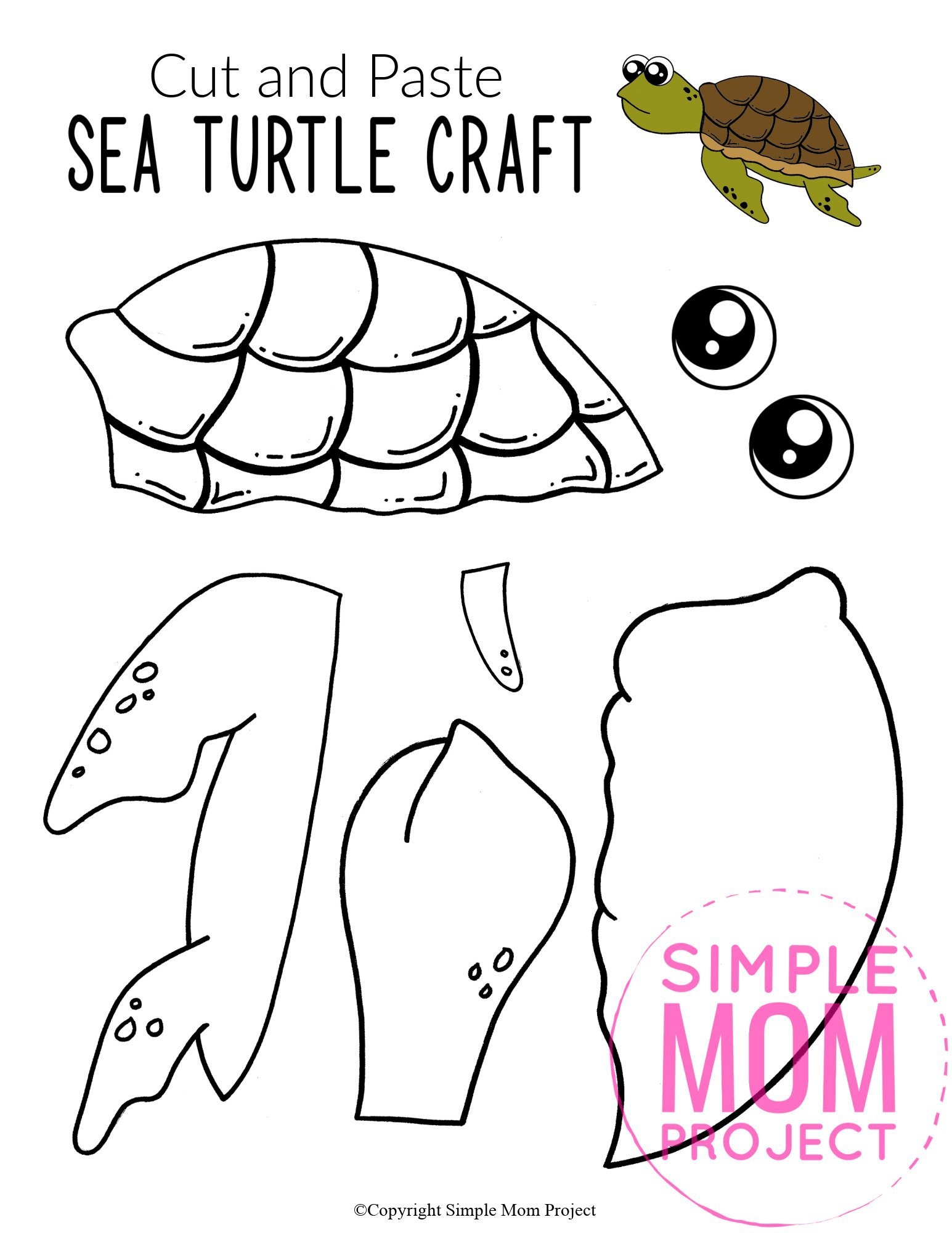 Free Printable Sea Turtle Facts