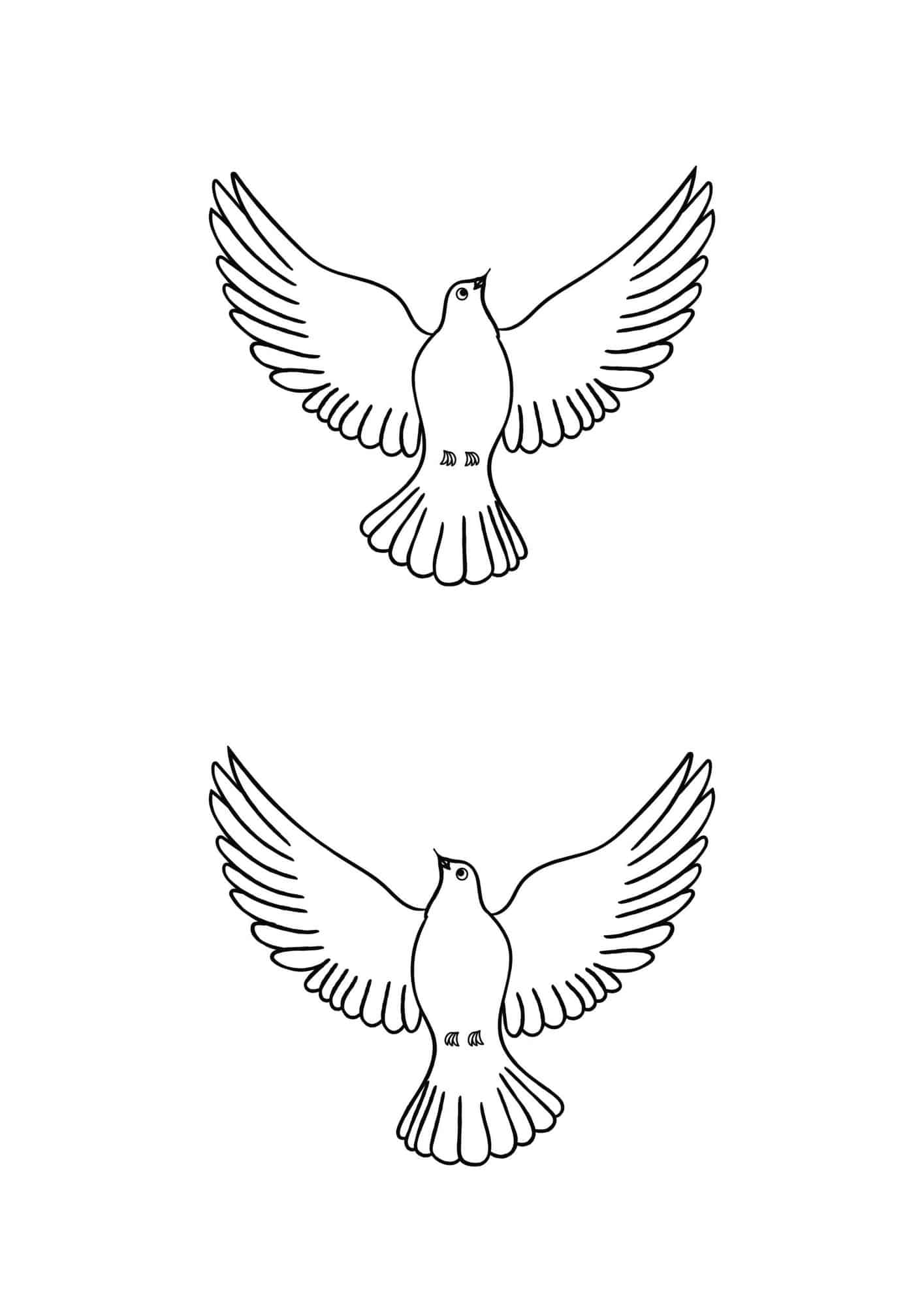 Dove Template Printable 4 Free Designs The Pink Craft Box